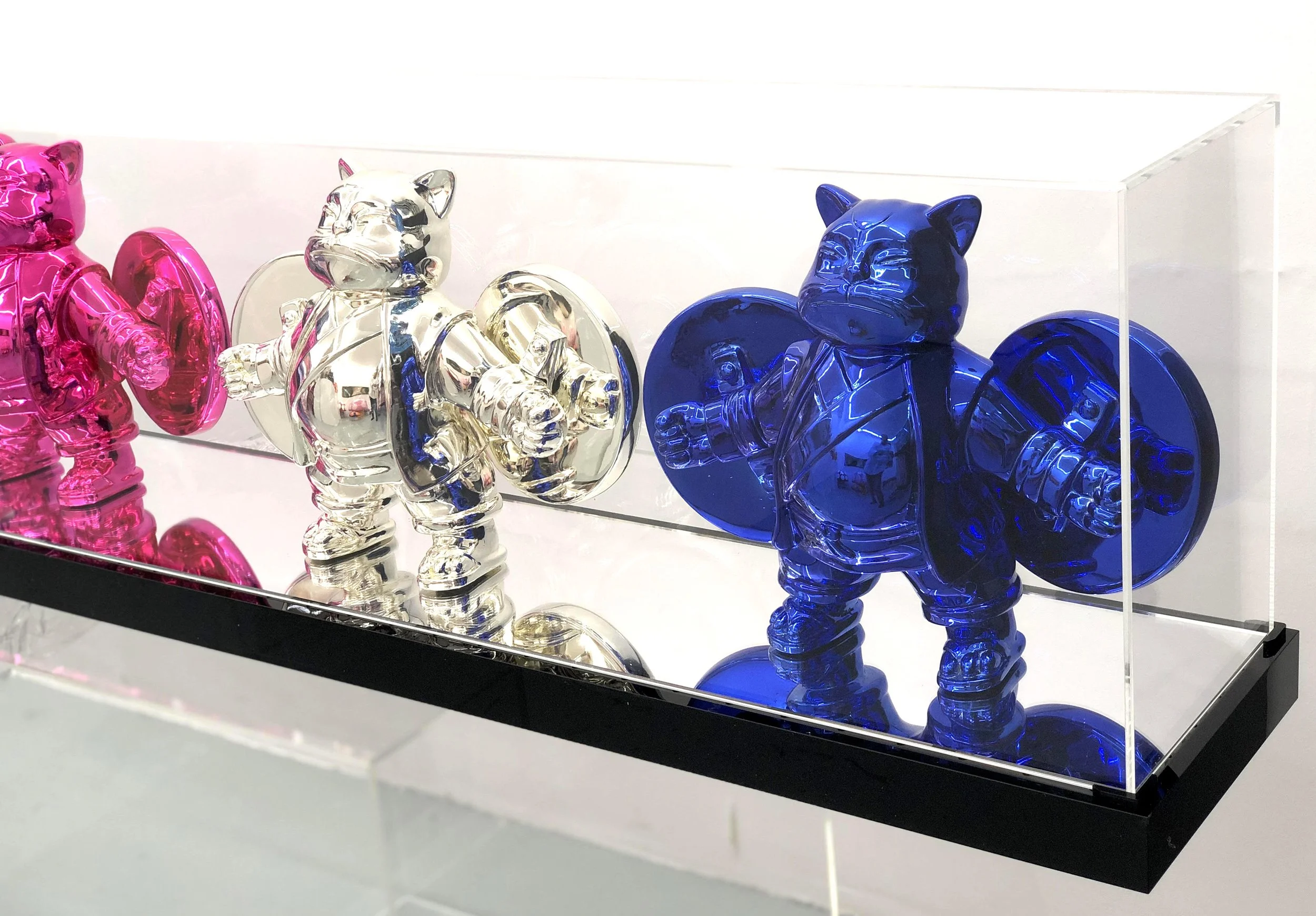 Warriorcat Quadrivium PPSB : A Chromium Tale 