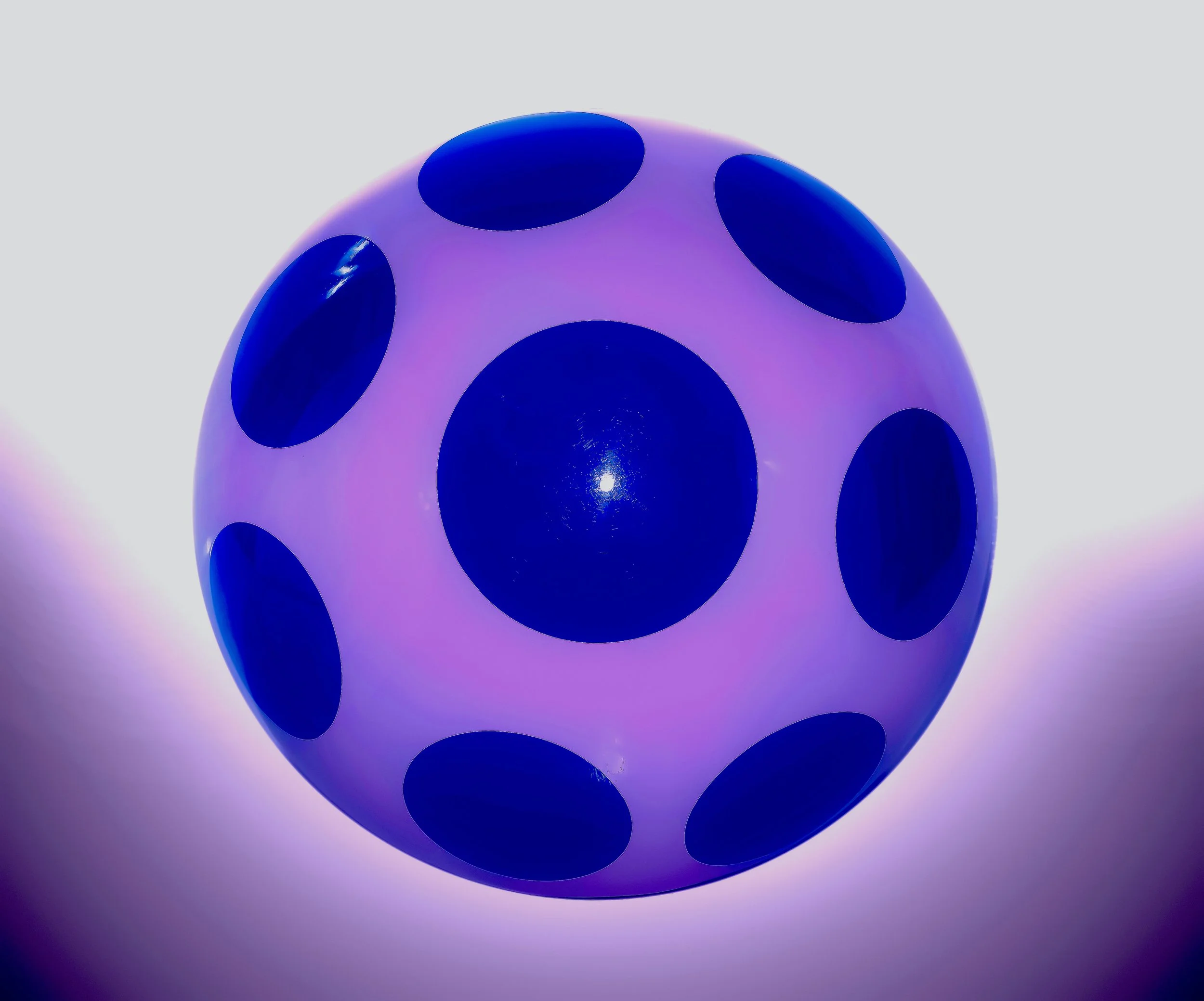 Shiitake Sprouts : Miniature Magic Unveiled