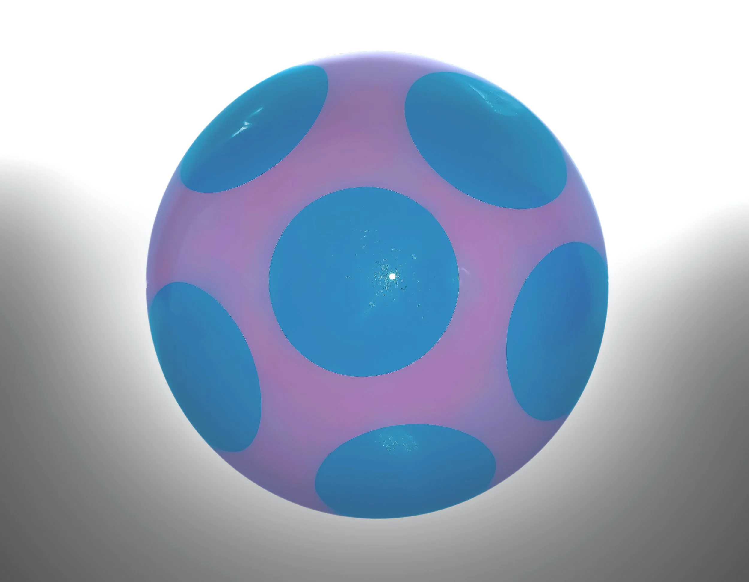 Shiitake Sprouts : Miniature Magic Unveiled