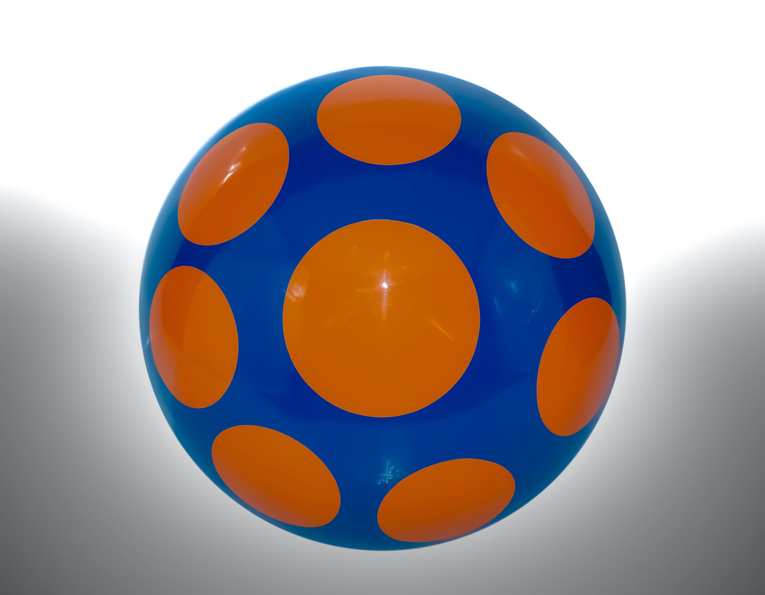 Shiitake Sprouts : Miniature Magic Unveiled