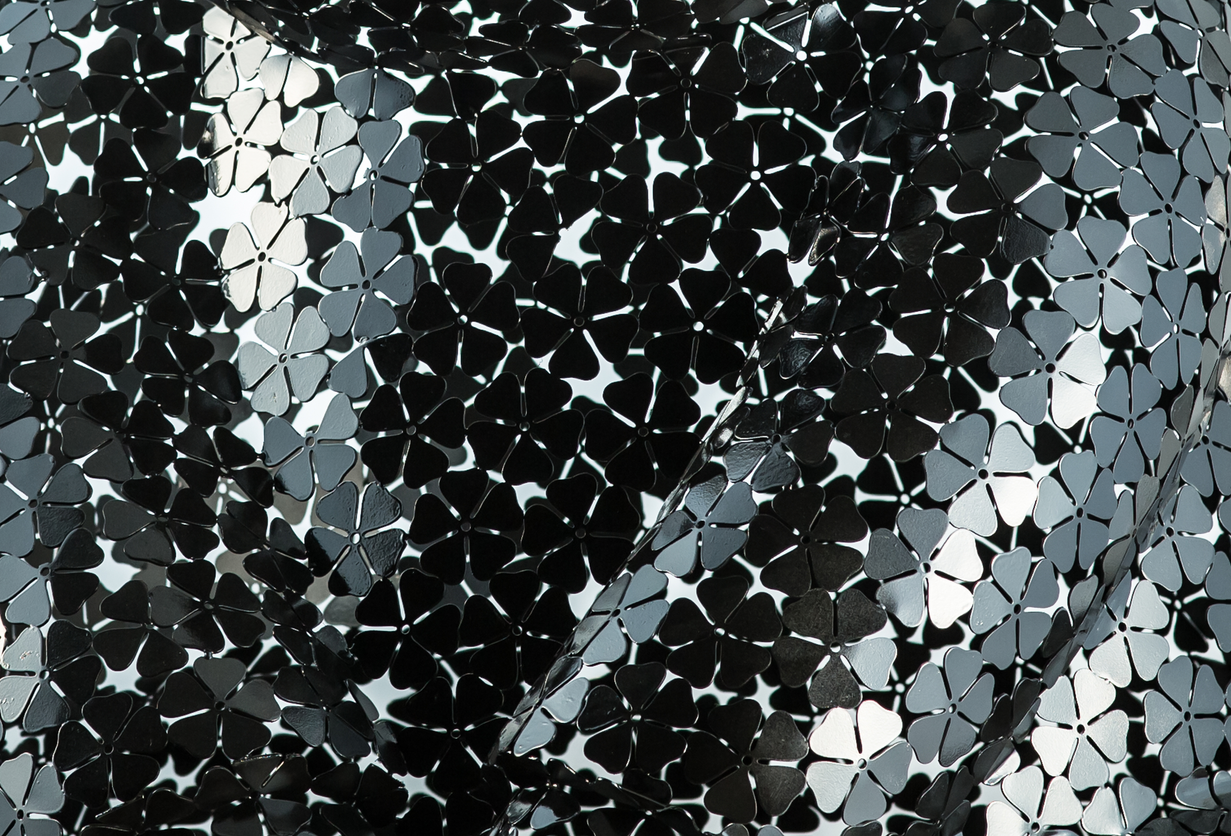 Pandasan’s Petite Blossom: Onyx Serenade 