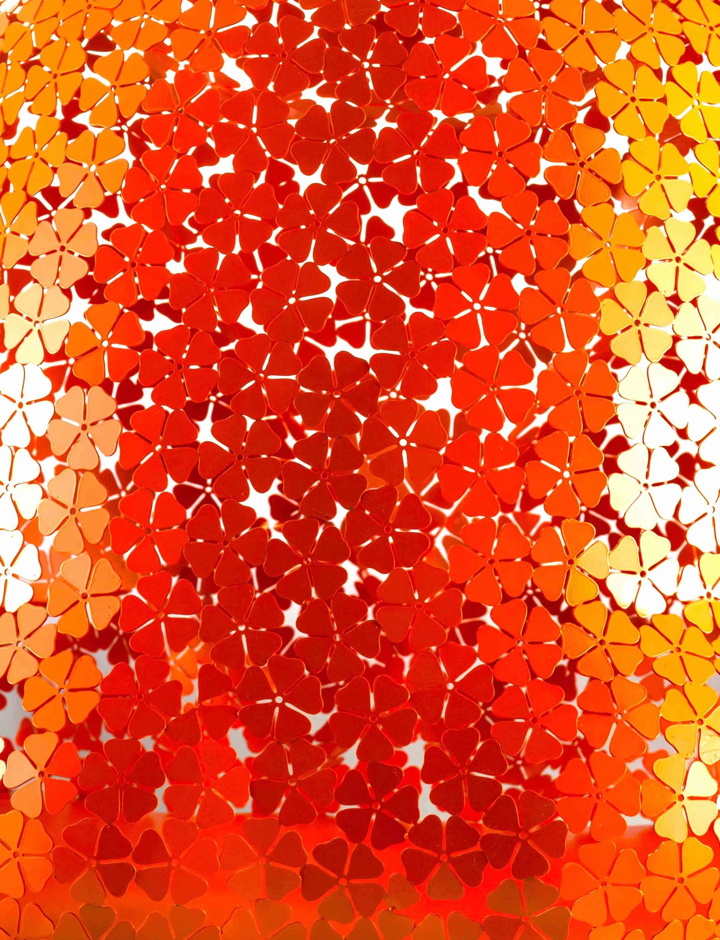 Pandasan’s Flower Power Tangerine Symphony