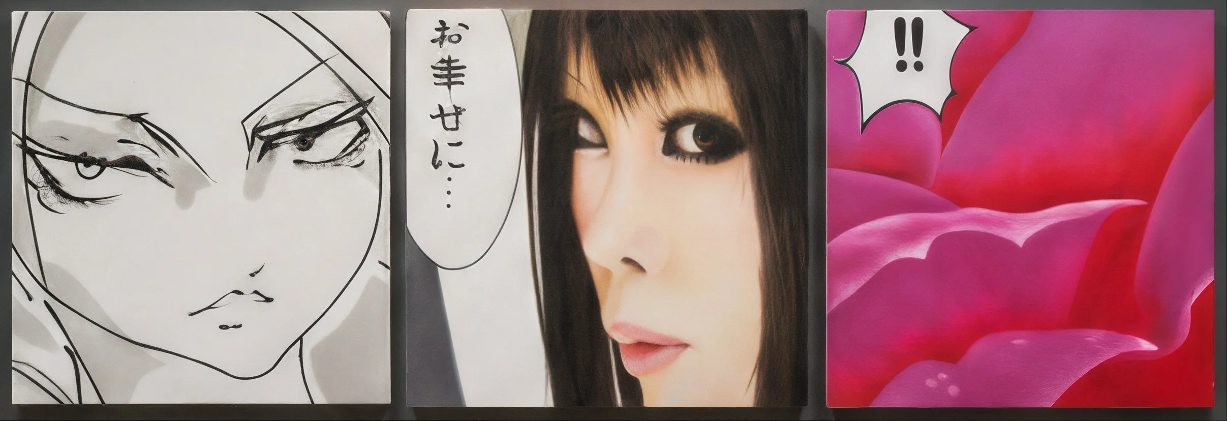 STAGES OF METAMORPHOSIS : ROSE PETAL CURRENT, 2009