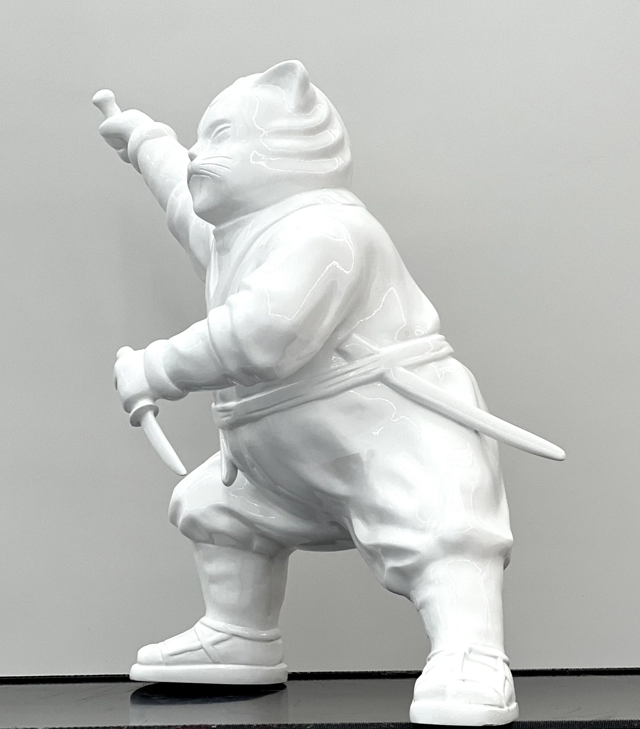 The Enigmatic Journey of Ninjacat: White Stealthy Whiskers,