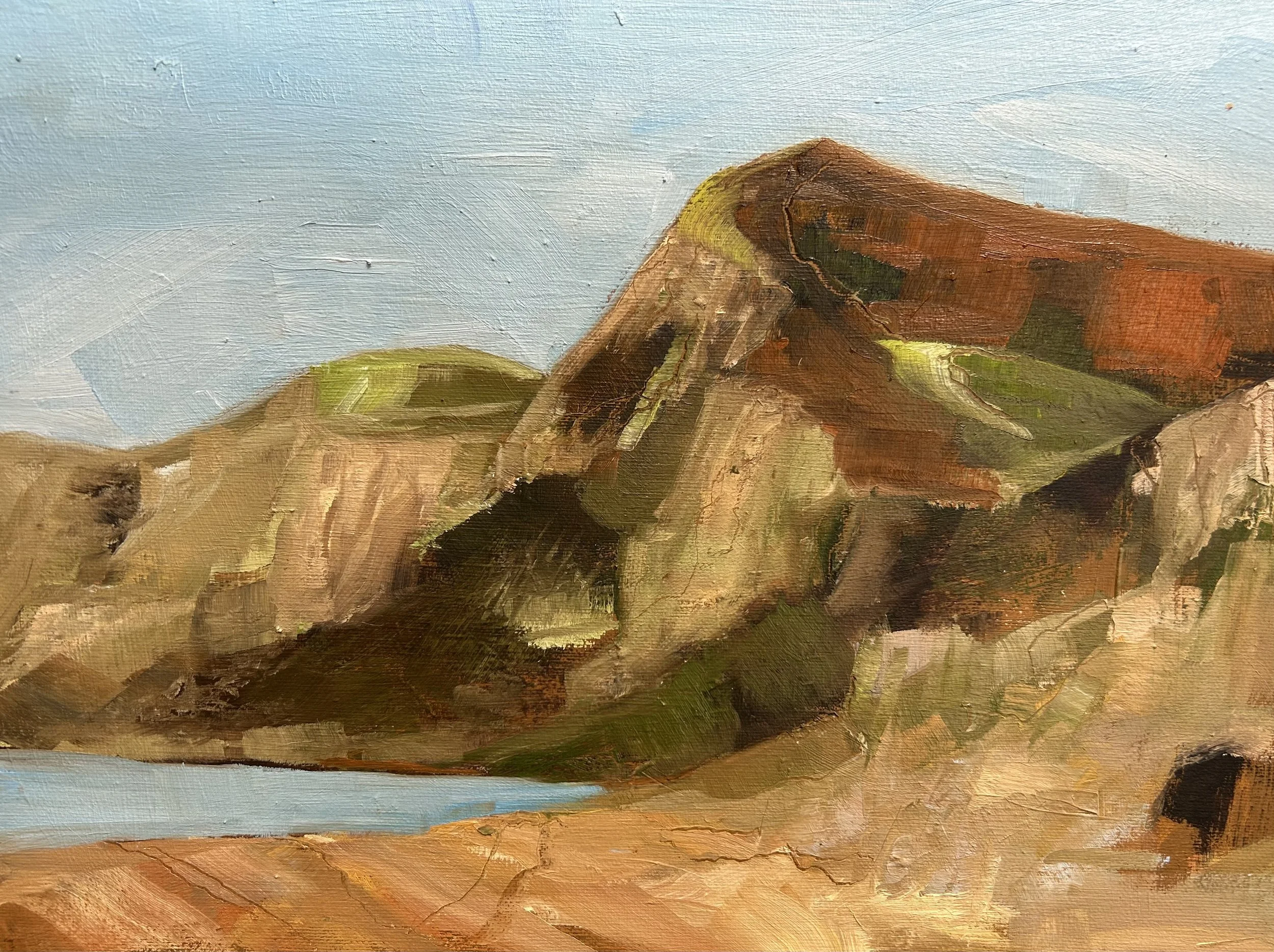  Judge's Prize  JULIA JACOMB-HOOD   "EYPE BEACH" 