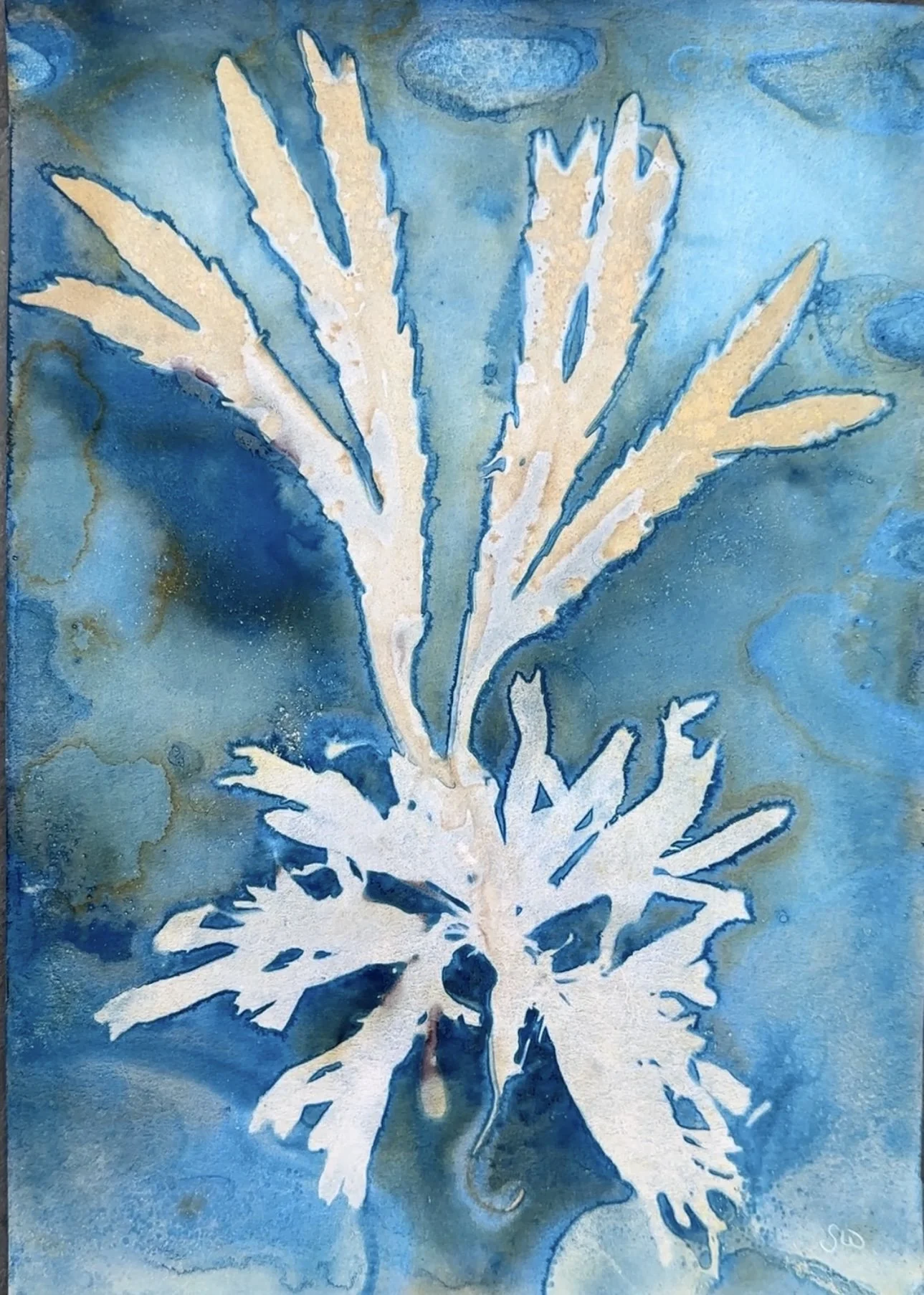 Explore the artistic community of Lyme Regis at the Lyme Regis Art Society.