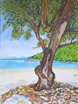 Pat Campbell