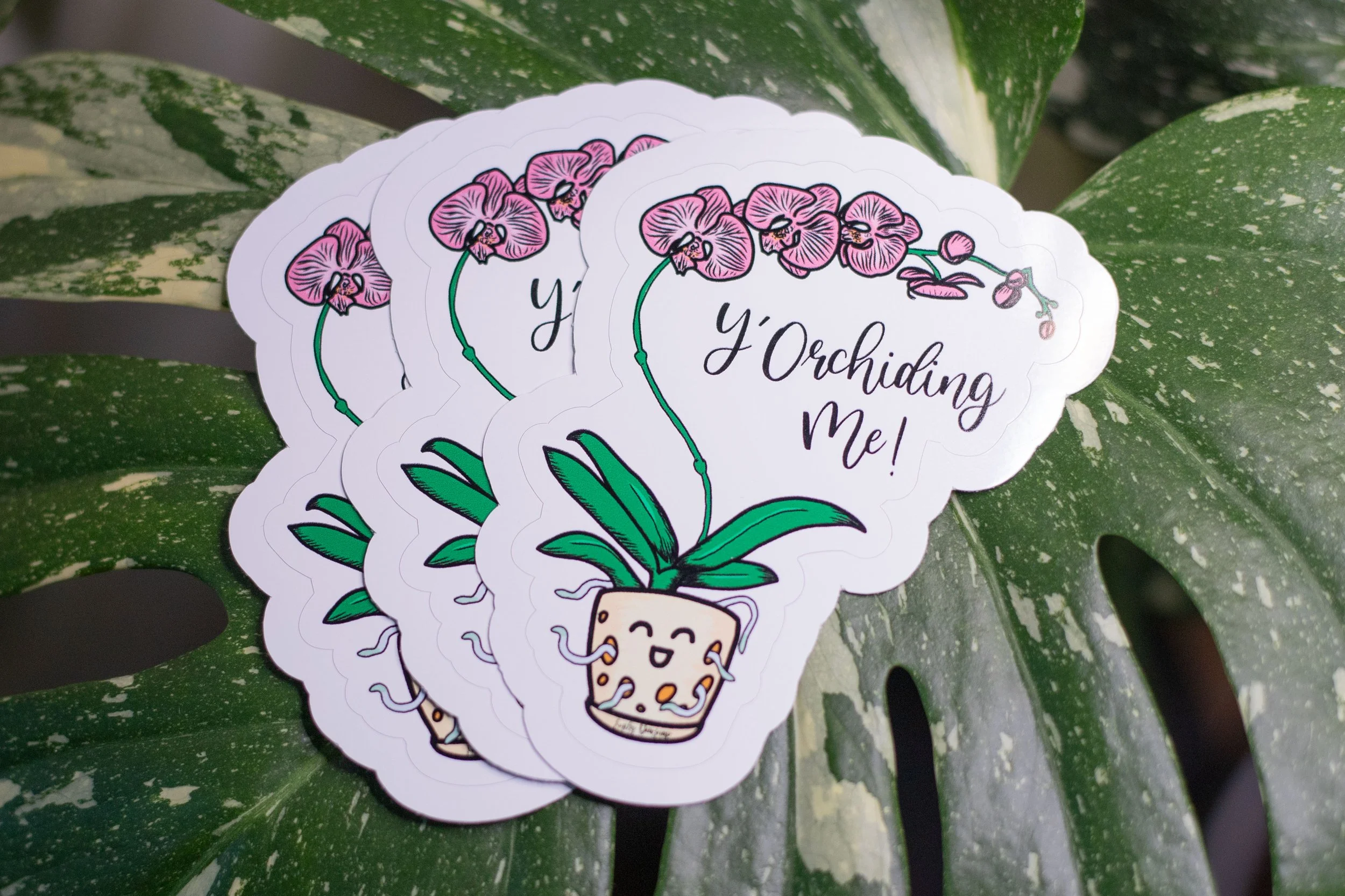 Y'Orchiding Me! Sticker