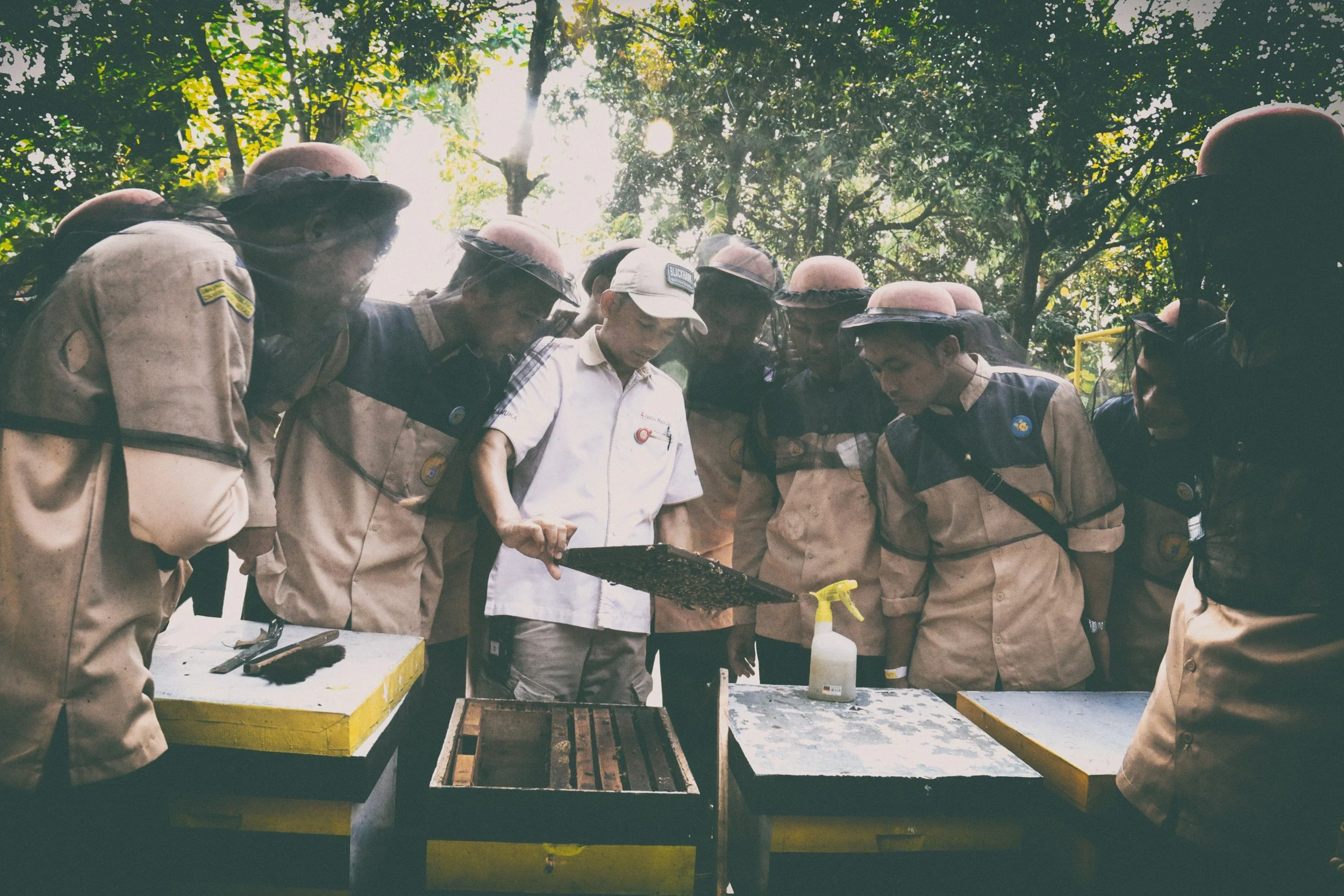 Group of scientists and researchers in protective gear examining beekeeping frames outdoors in a green, leafy environment.