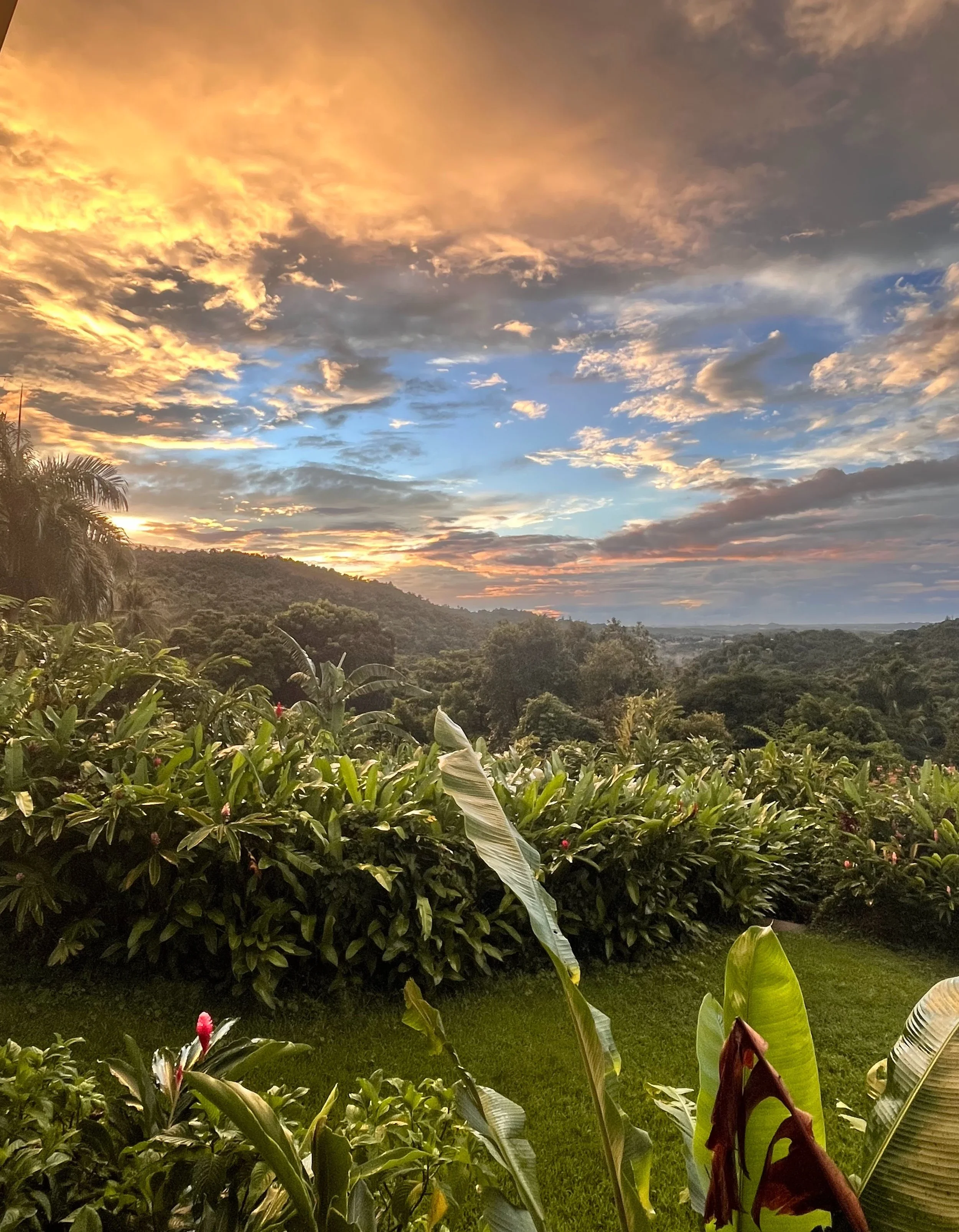 A gorgeous sunset view from the yoga studio overlooking the ginger hedge and vast valleys