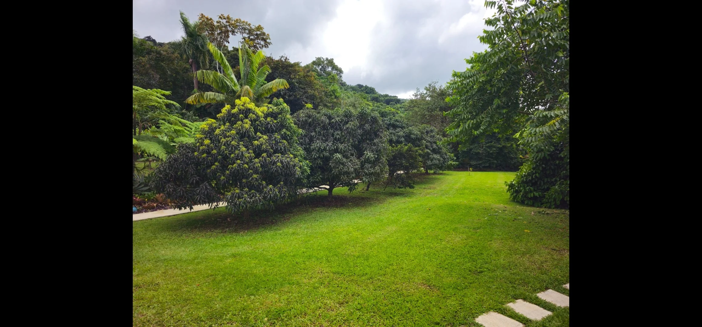 Lush green garden with various trees and shrubs, pathway on the left, cloudy sky overhead.
