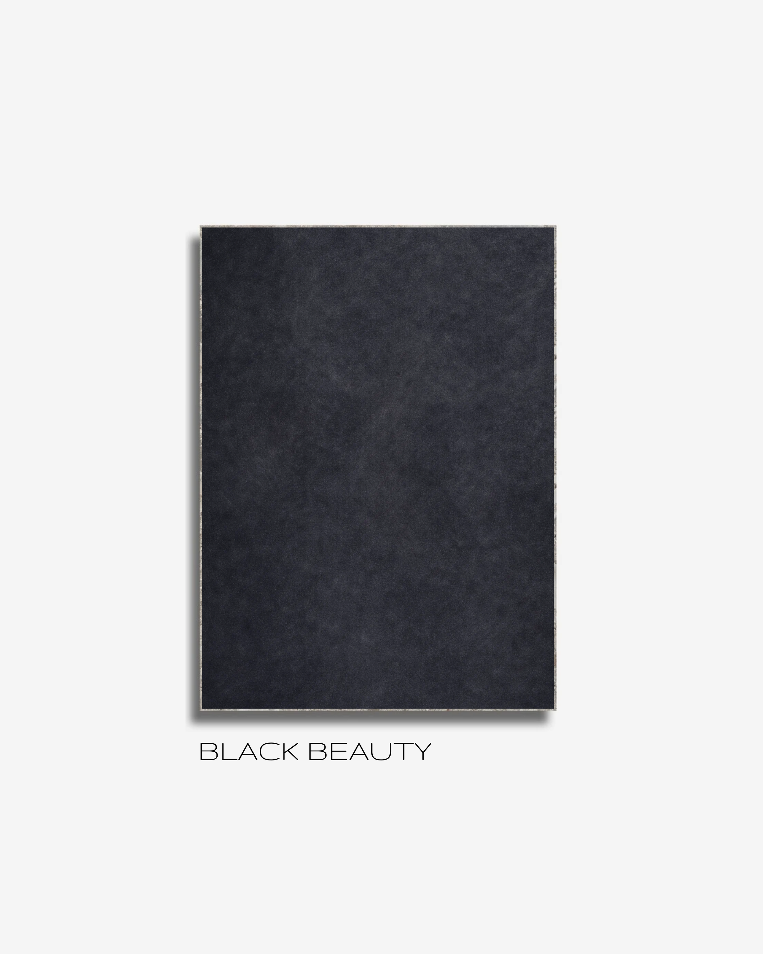 BLACK BEAUTY.png