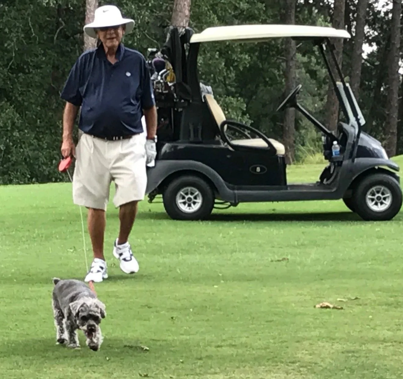 A man walking a small dog on a golf course near a golf cart.