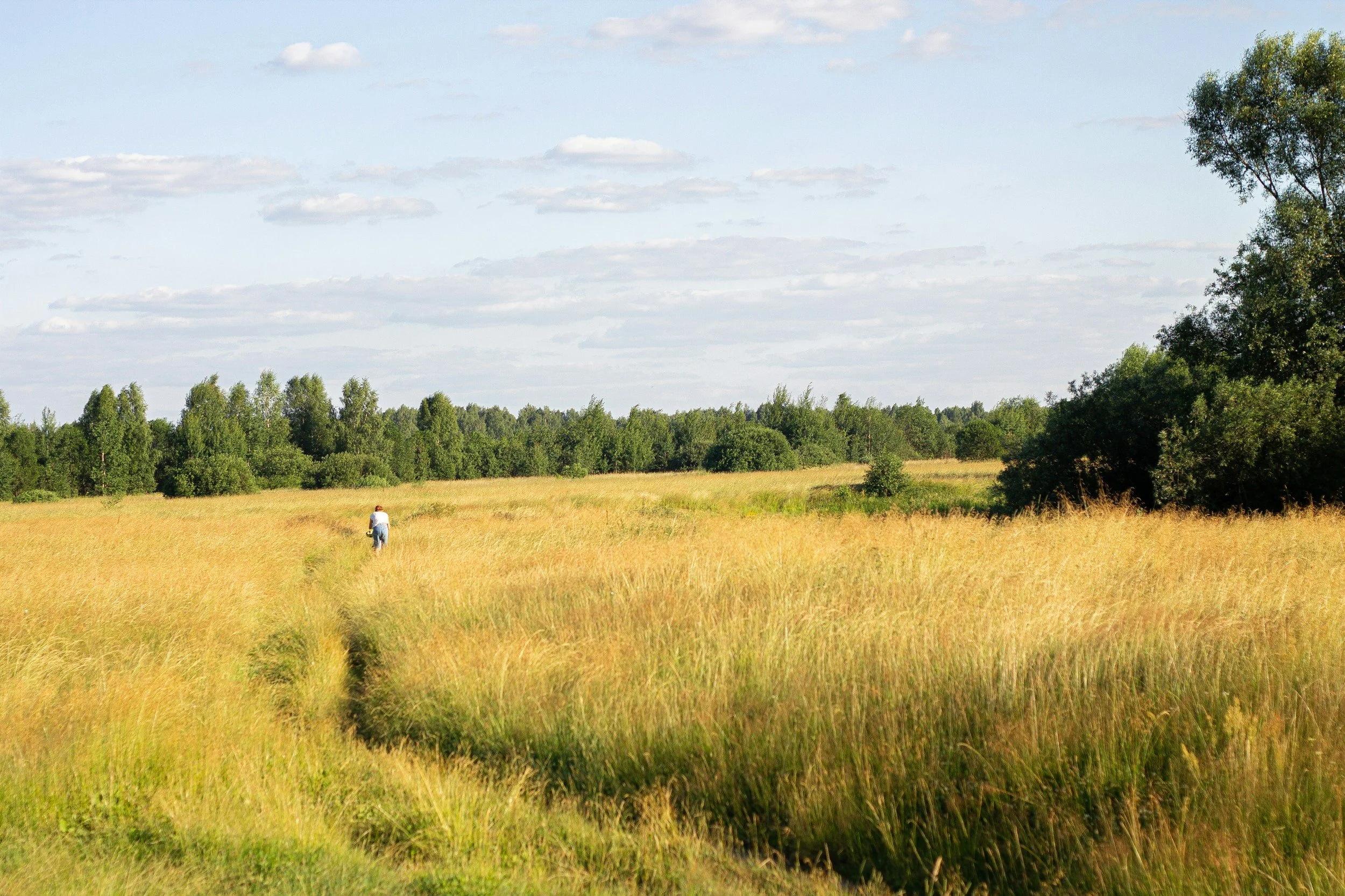 A person walking through a grassy field with a path and trees in the distance under a partly cloudy sky.
