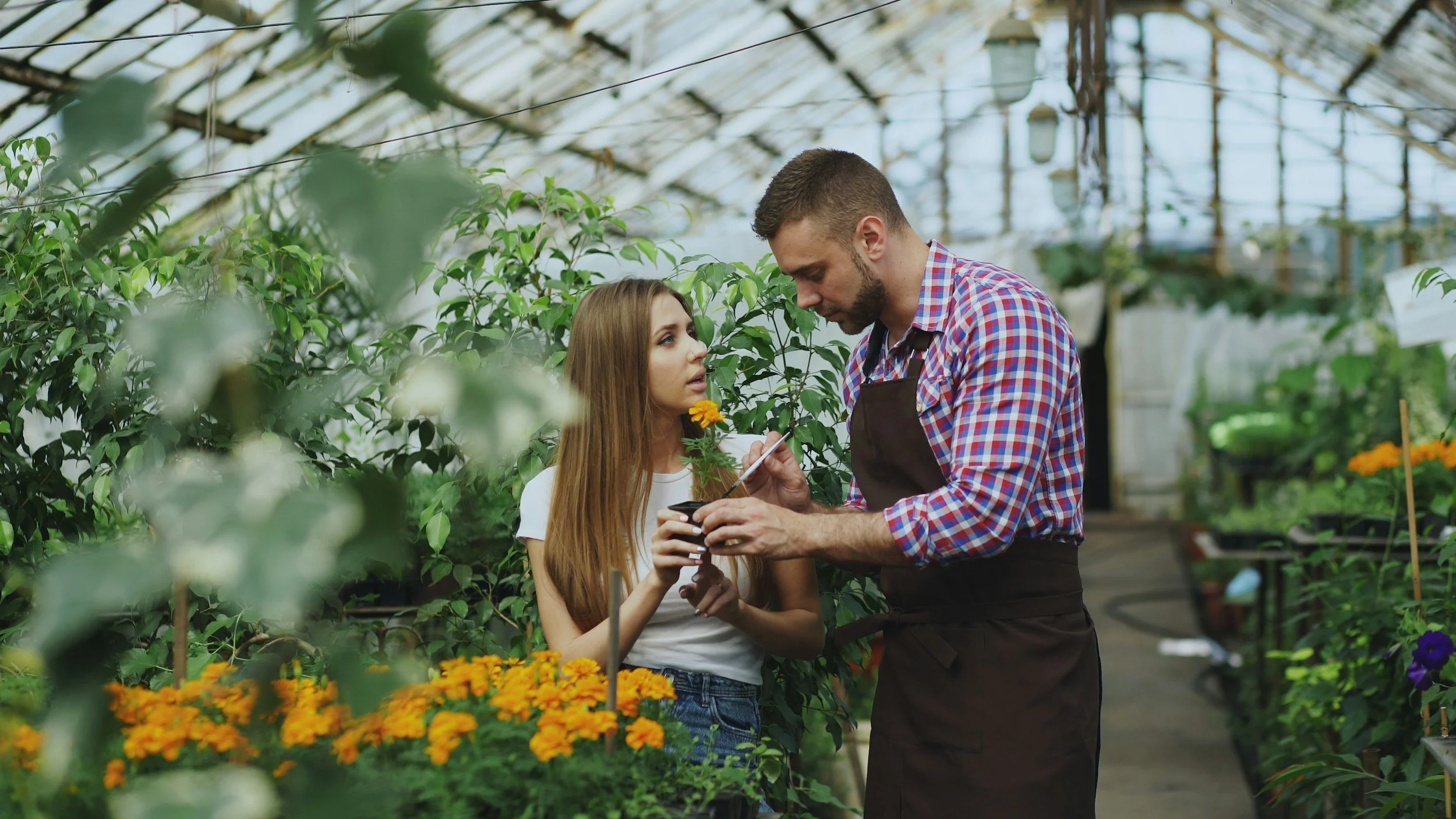 A young woman with long red hair receiving planting advice from a man in a greenhouse surrounded by flowering plants.