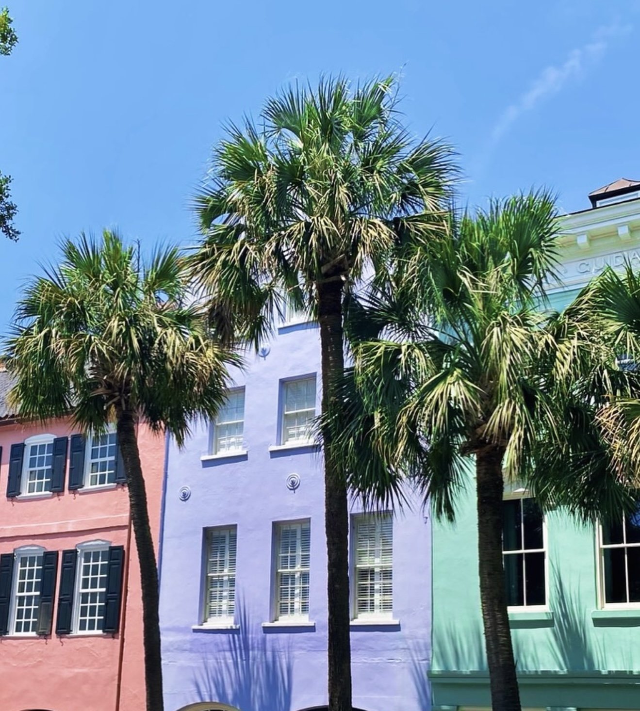 Colorful houses with large palm trees in front, under a clear blue sky.