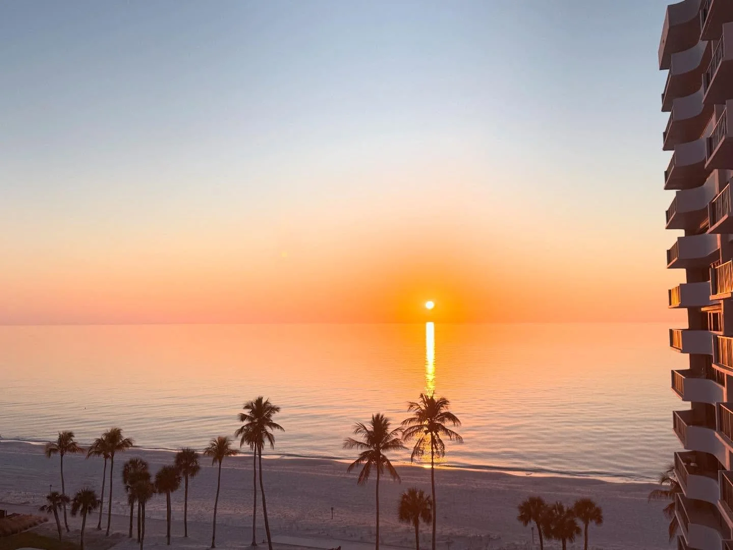 Sunset over the ocean with calm water, a line of palm trees on the sandy beach, and a modern high-rise building on the right.