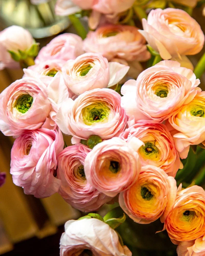 What’s Blooming In April