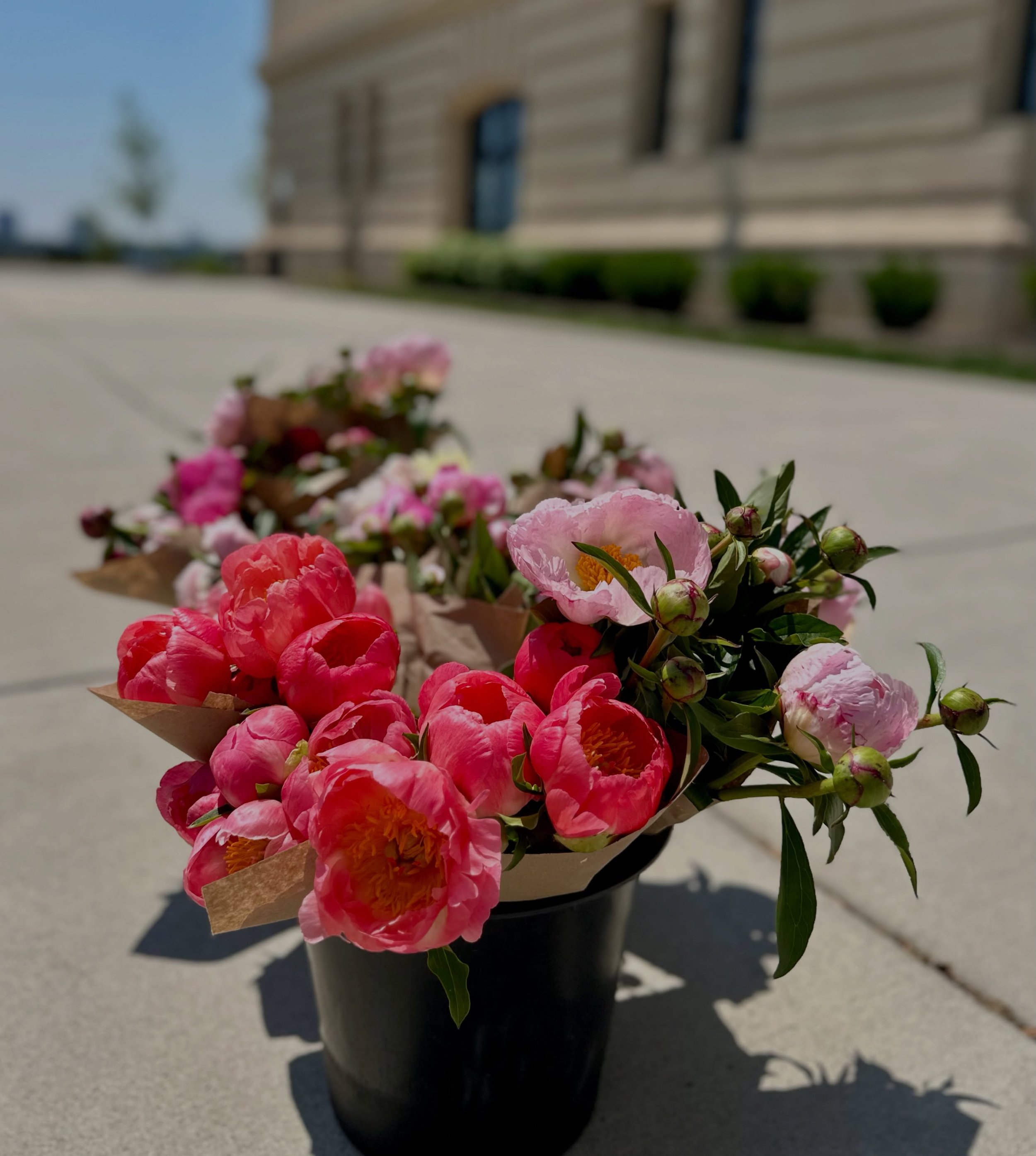 This is your sign to treat yourself to a bouquet of peonies this weekend.