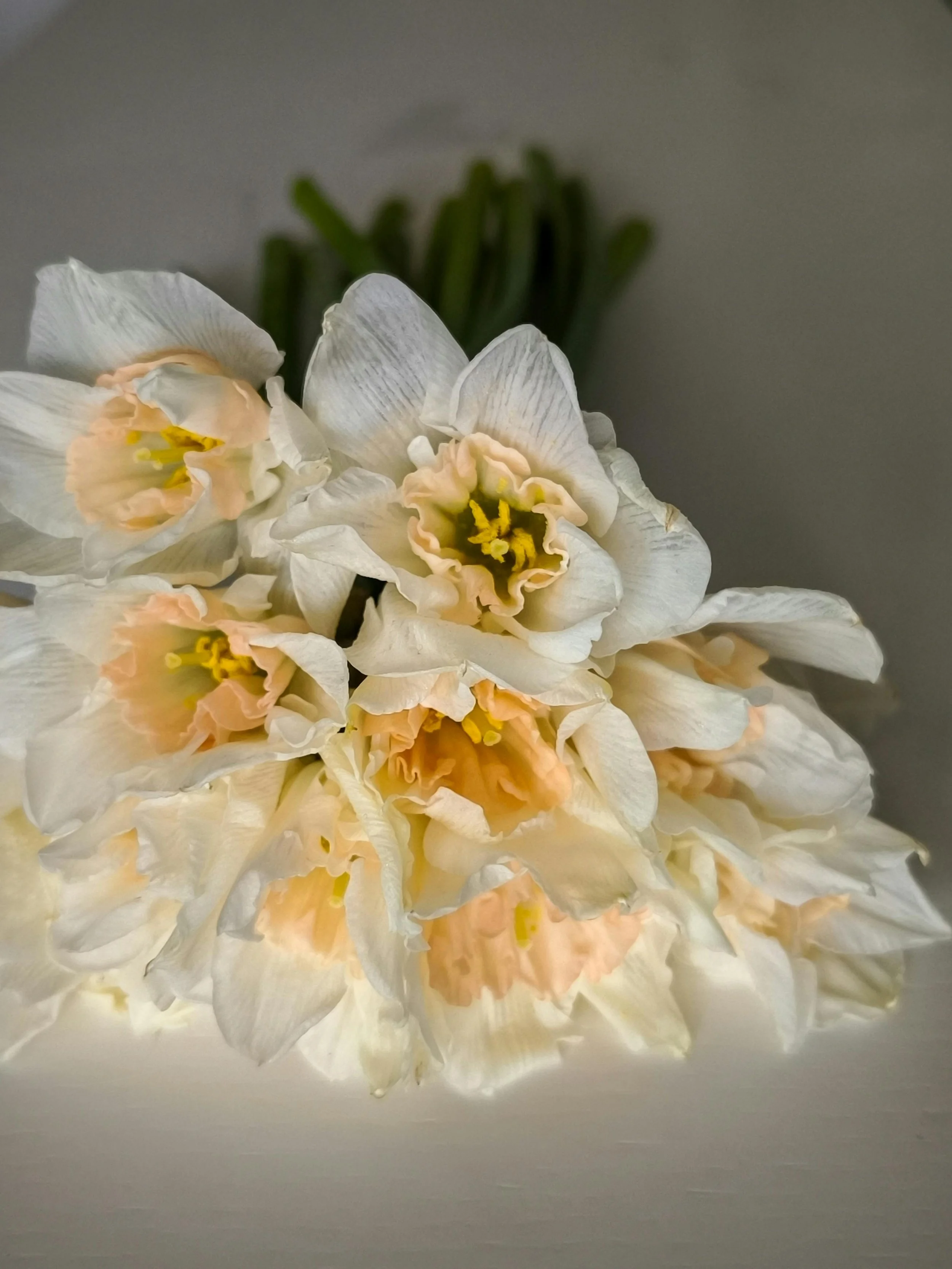 What’s Blooming In April
