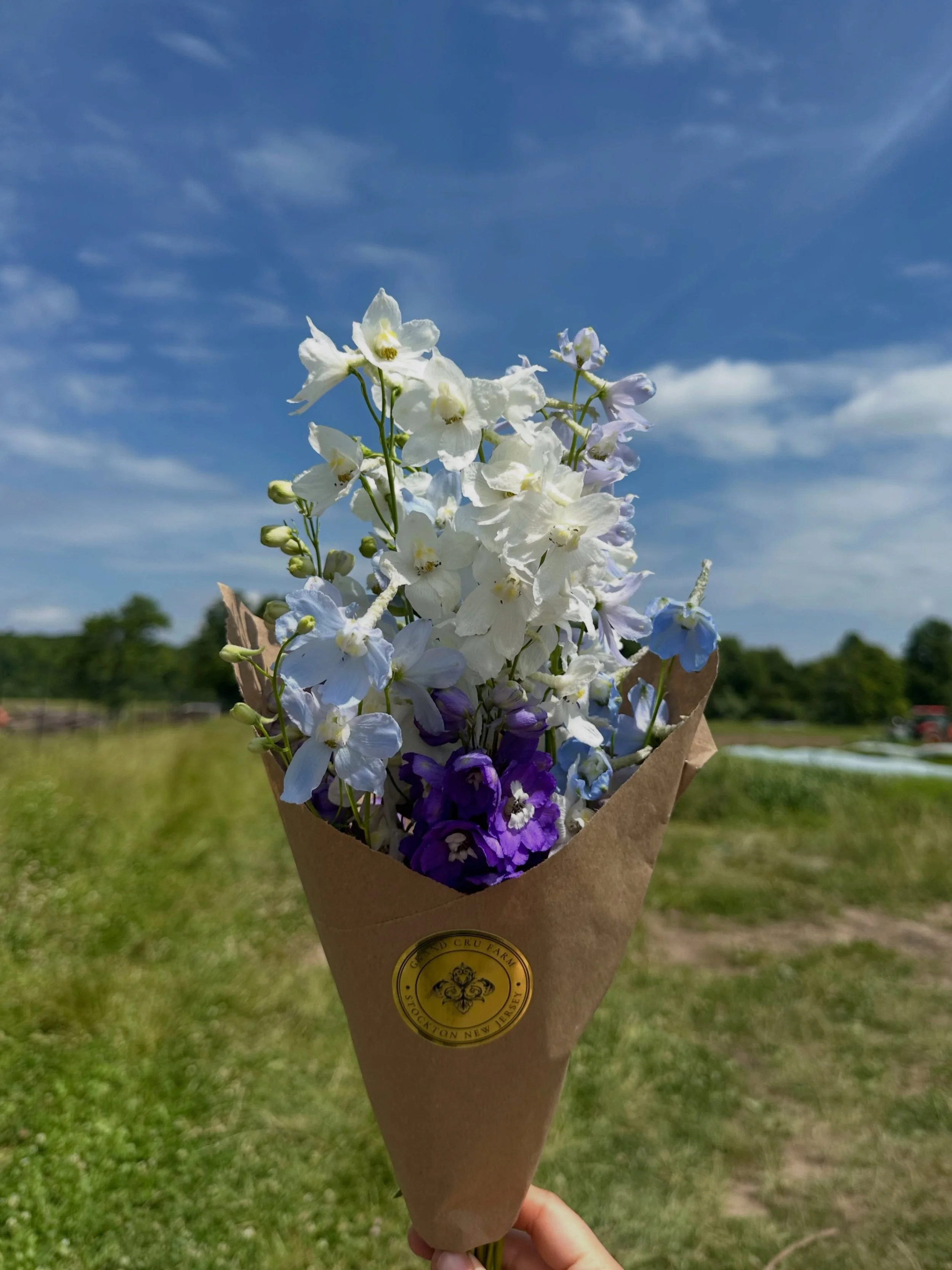 A moment for this gorgeous bouquet ✨

Get yours tomorrow @hobokenfarmersmarket from 3-7!
