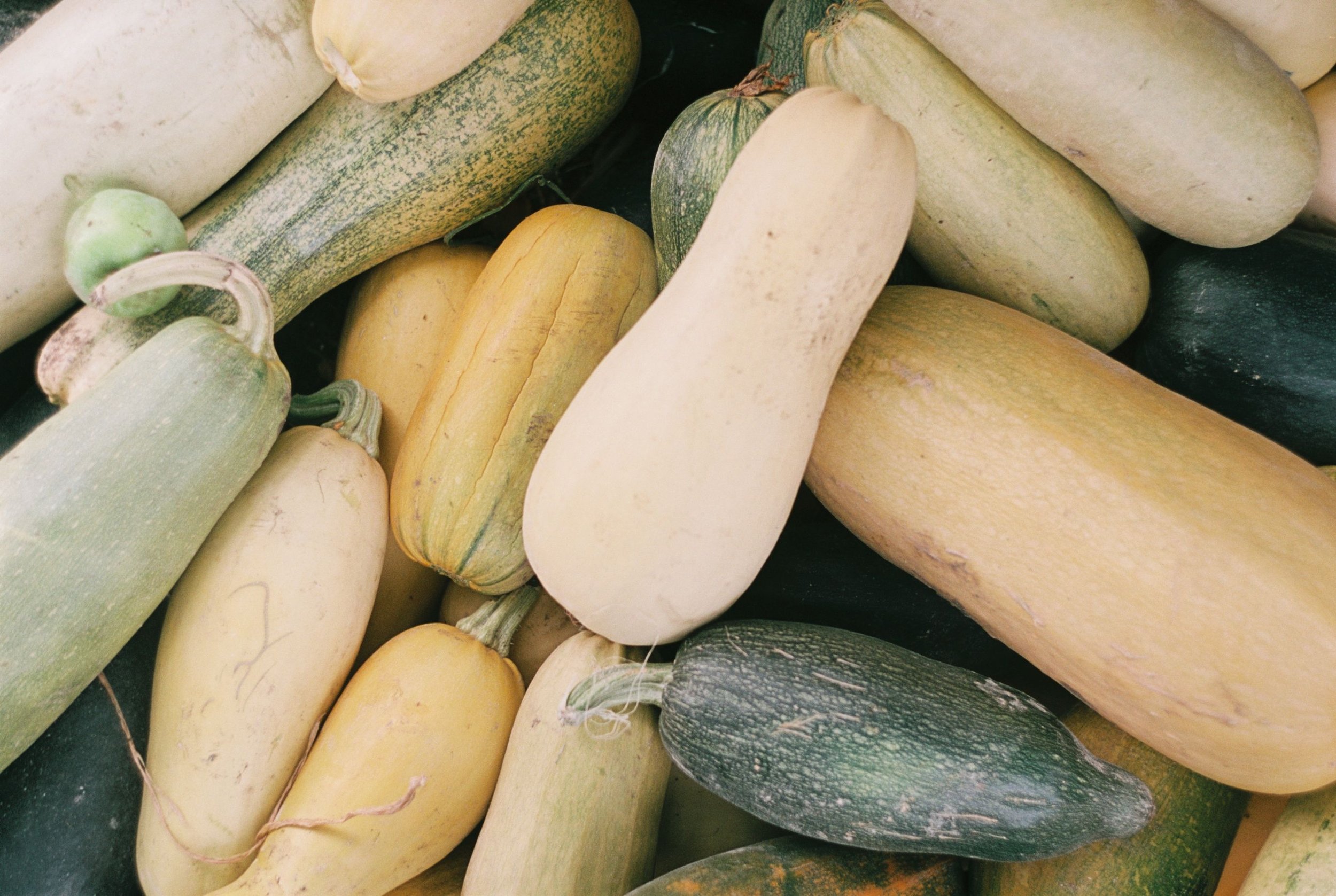 Five Simple and Delicious Summer Squash Recipes