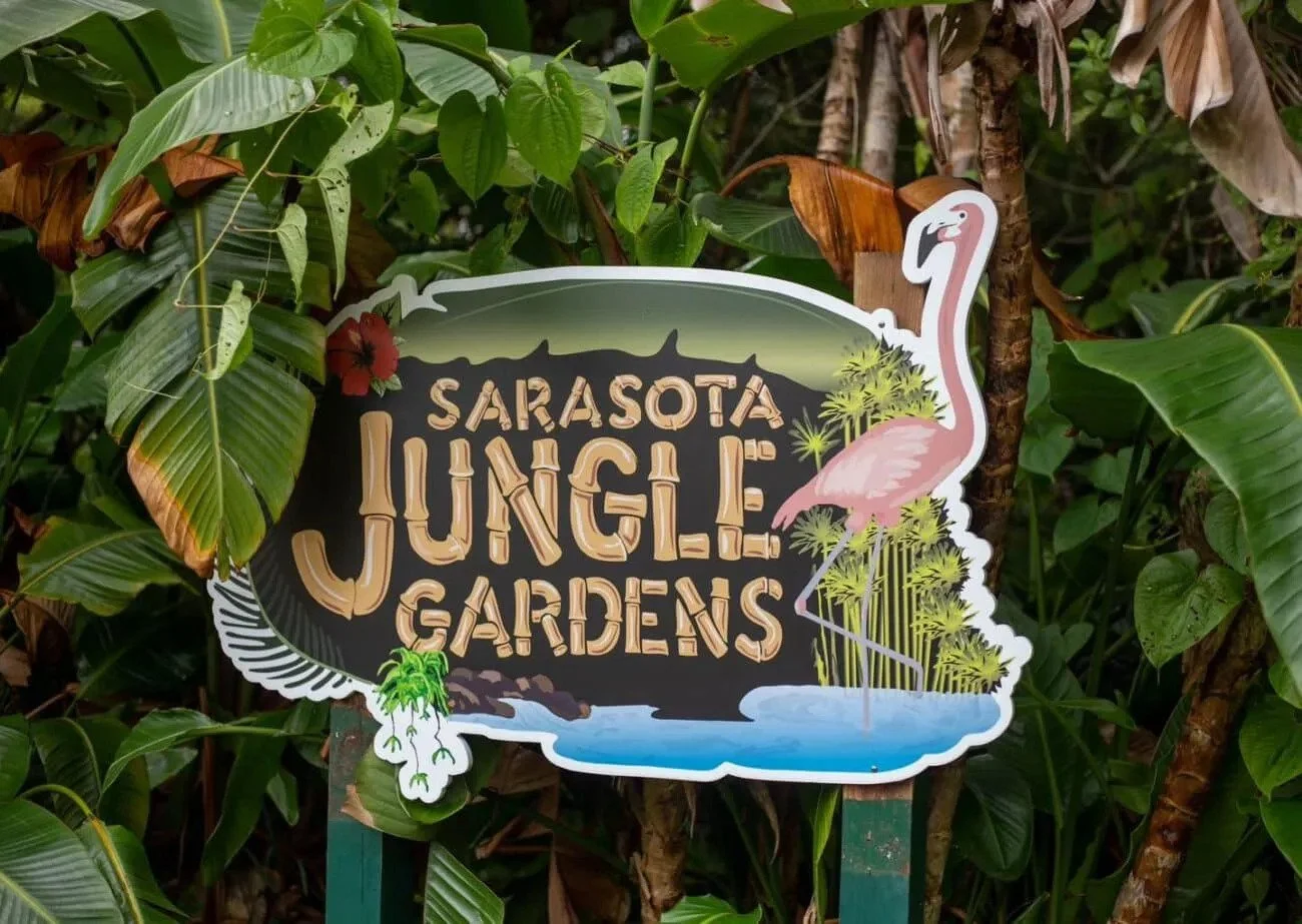 Step into a tropical adventure at Sarasota Jungle Gardens, one of Florida&rsquo;s oldest family attractions. Walk winding jungle paths, interact with free‑roaming flamingos and exotic birds, and enjoy an up‑close nature experience just a short drive 