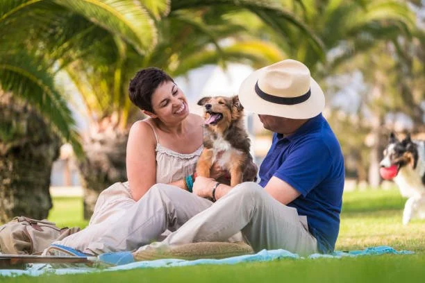 Paws are welcome here. With walkable streets and nearby Sarasota parks, Aspire on 10th is a great home base for you and your pup. 

#DogFriendlySarasota #PetFriendlyCity #DogWalks #SarasotaPets #AspireOn10th