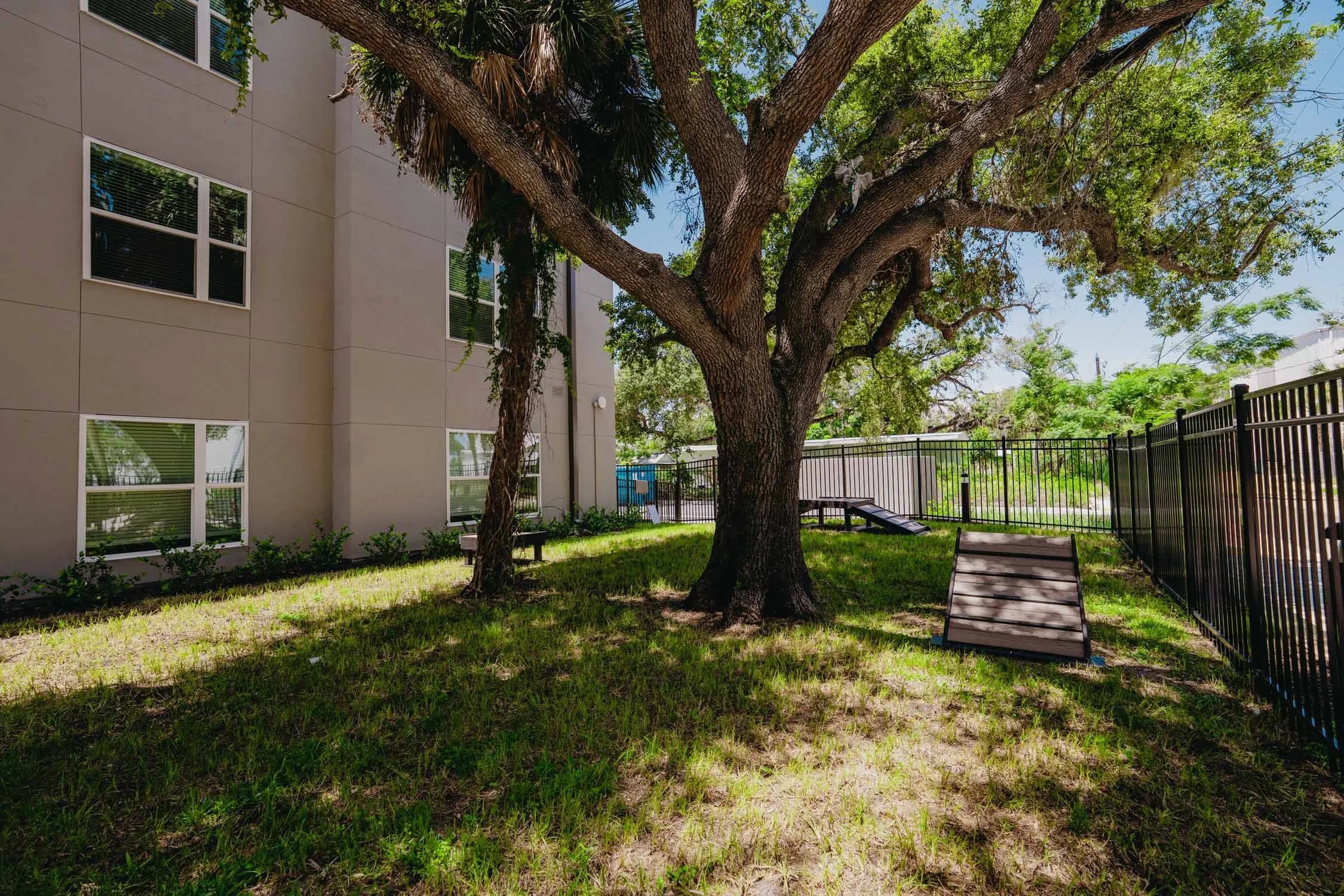 Aspire on 10th | Luxury Apartments in Sarasota, FL | Dog Park