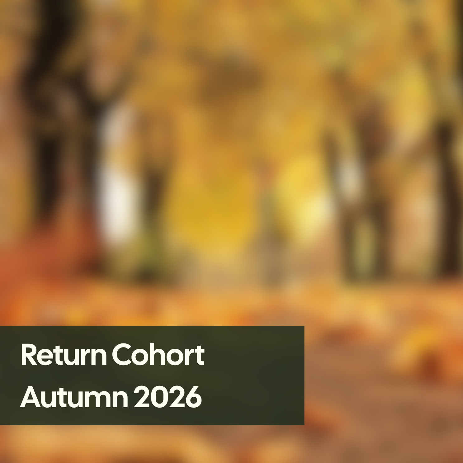 Branch Return-to-work Cohort: Autumn 2026