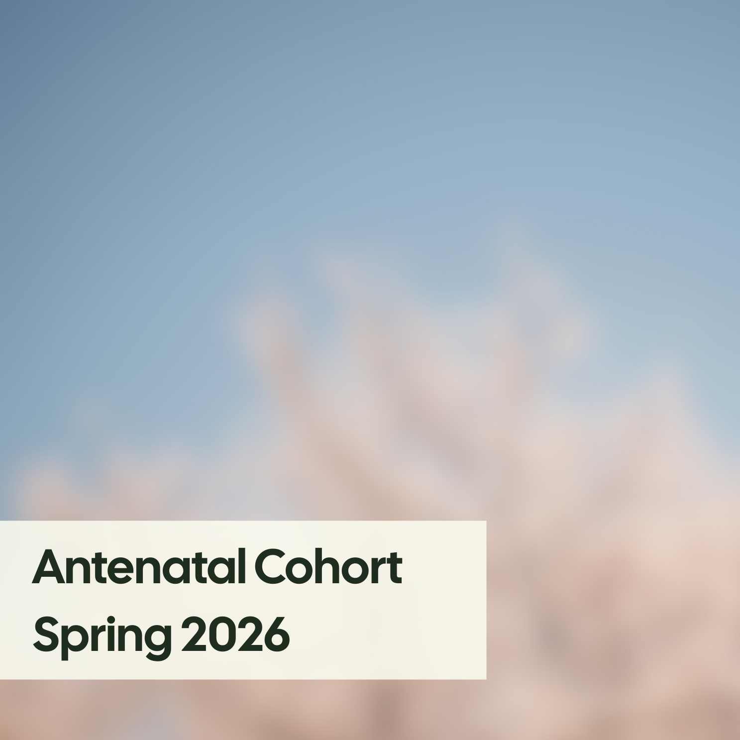 Branch Antenatal Cohort: Spring 2026