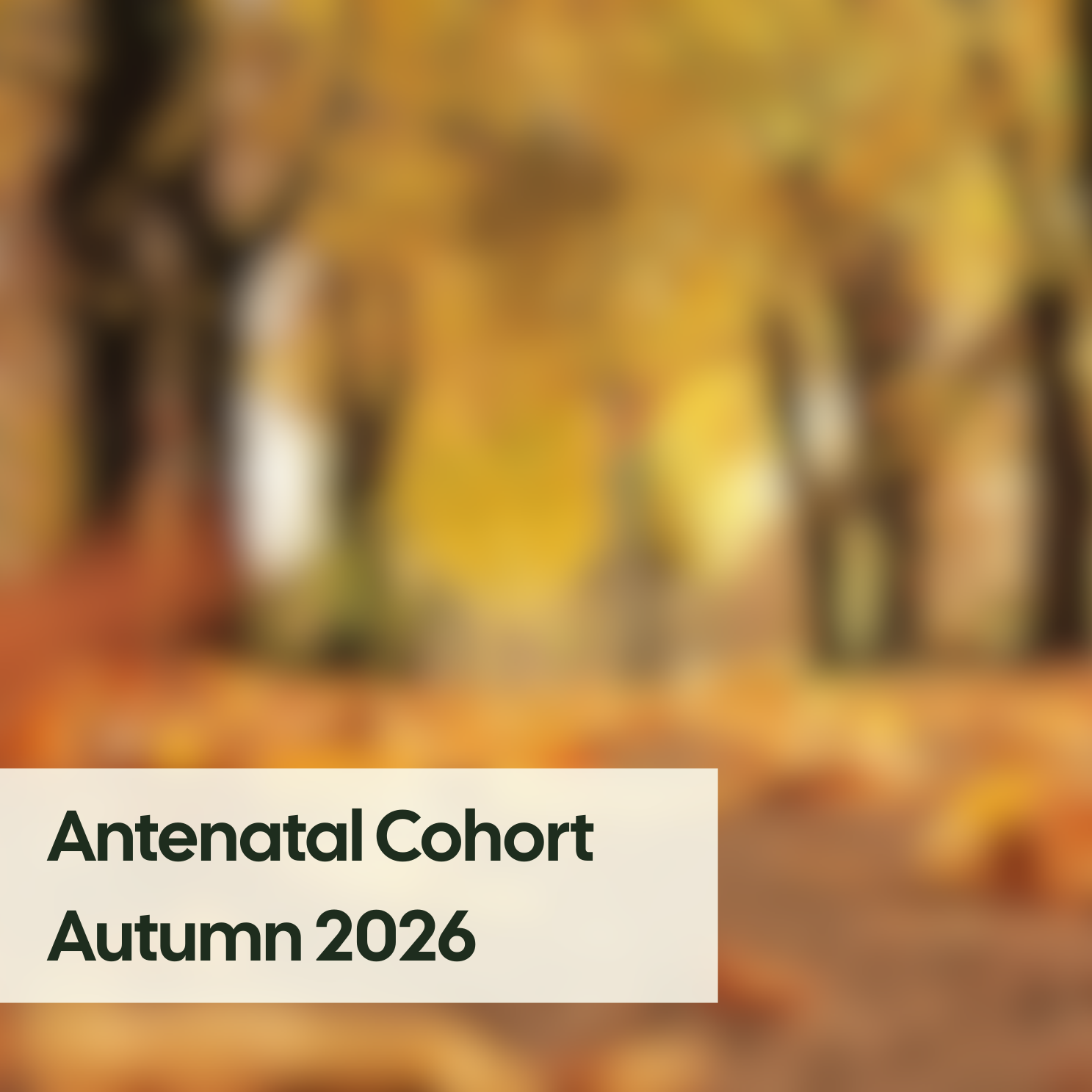 Branch Antenatal Cohort: Autumn 2026