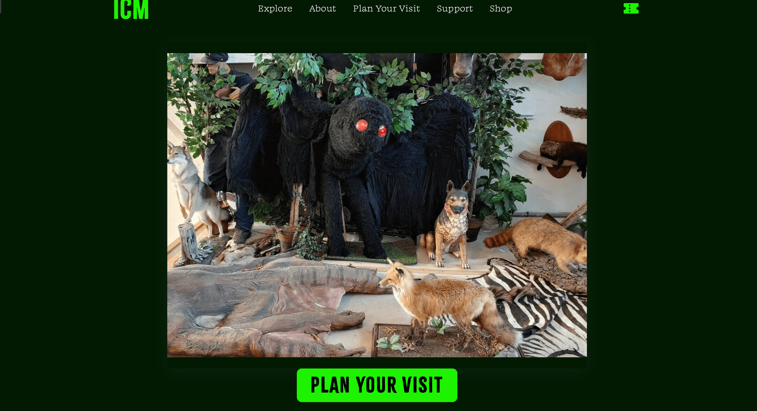 UX/UI Design