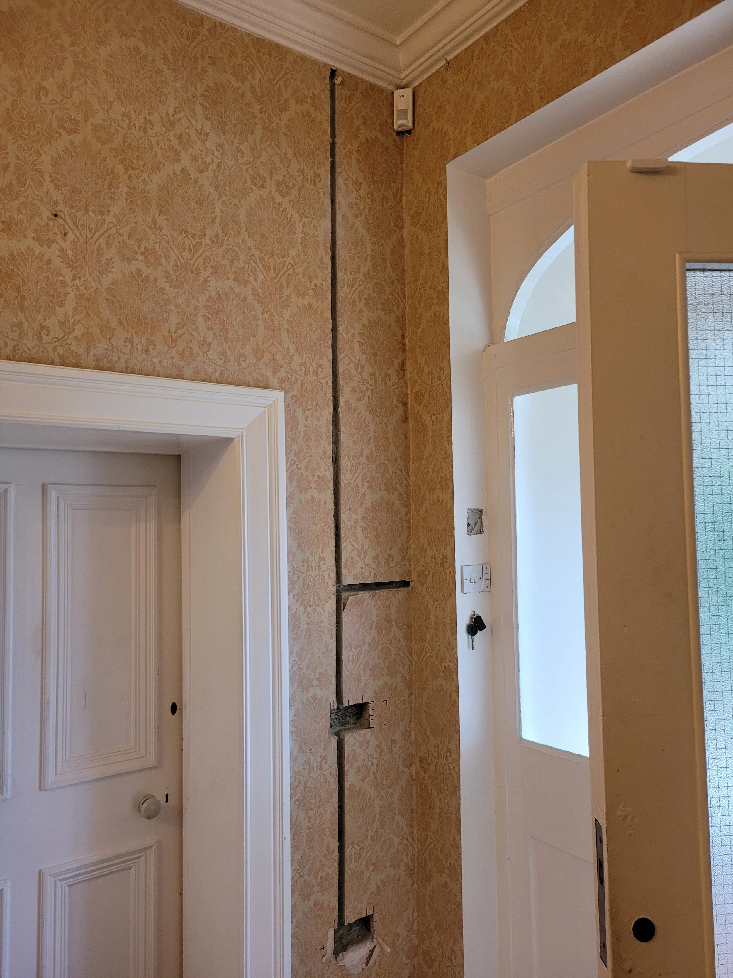 2023-08-15 17.43.31.jpg