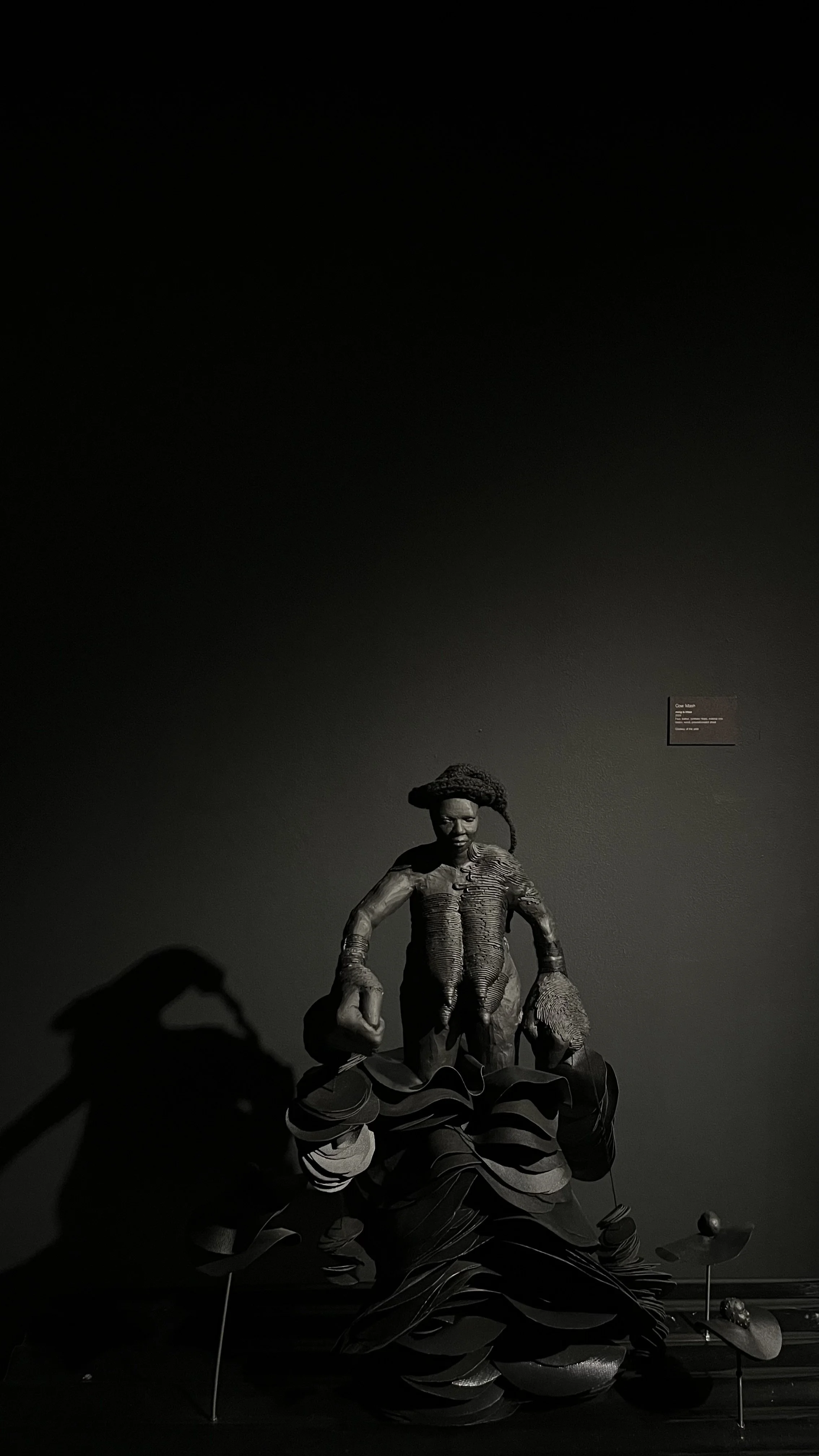 IMG_9248.jpeg