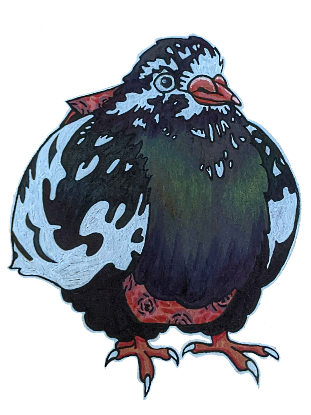 A stylised coloured pencil and gel pen drawing of my pigeon Alejandra.