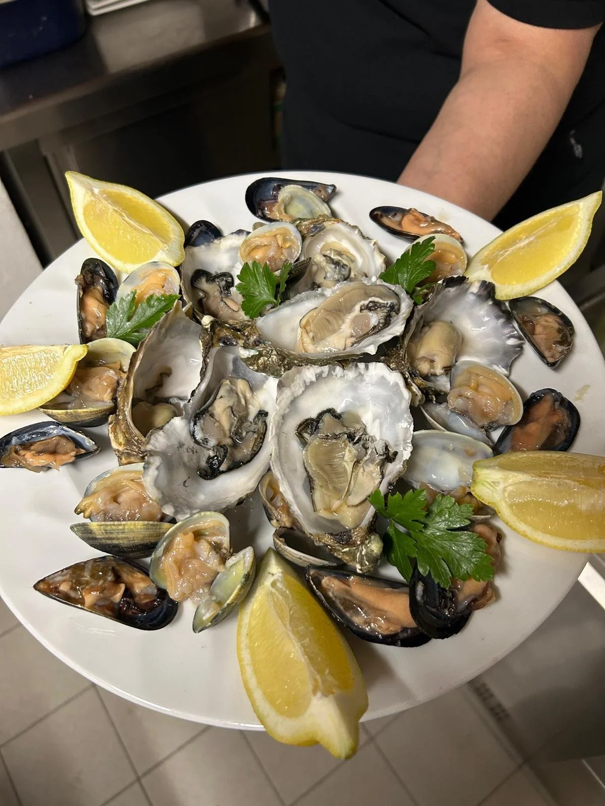 WhatsApp Image 2026-03-09 at 14.49.06 (1).jpeg