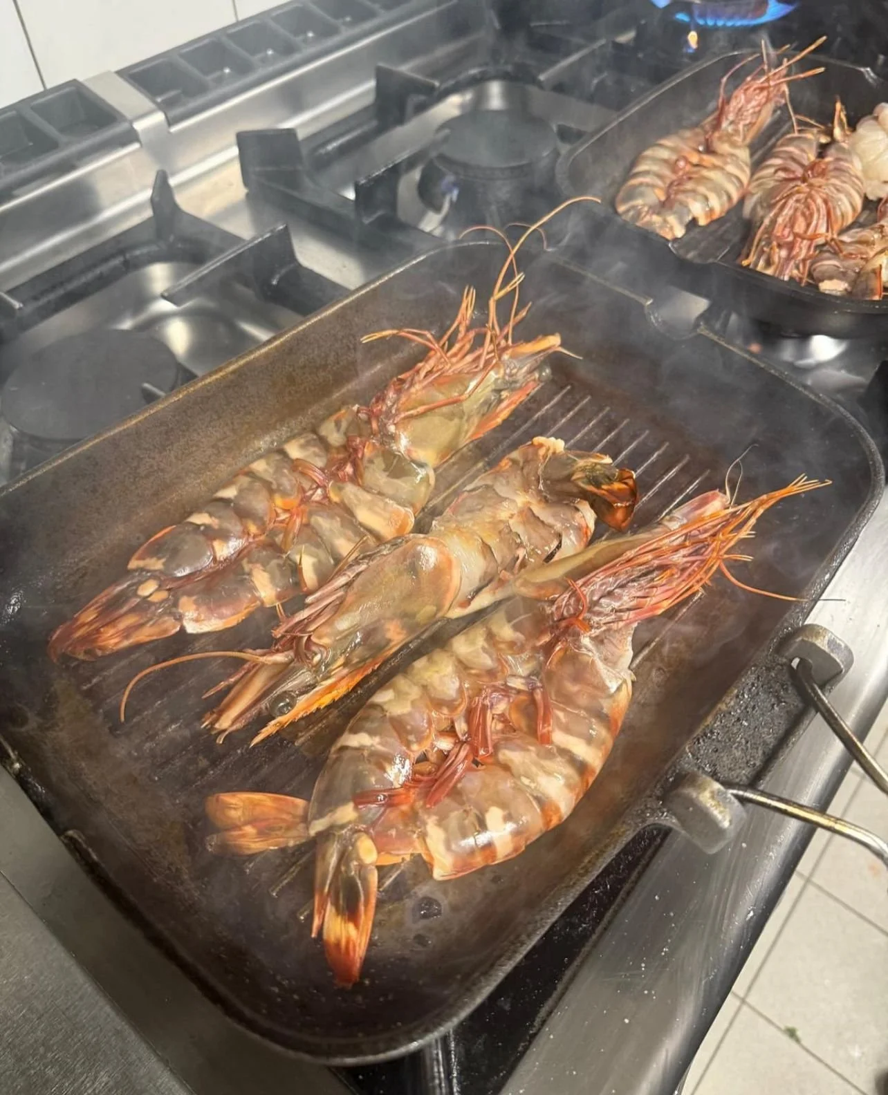 WhatsApp Image 2026-03-11 at 09.50.26 (3).jpeg