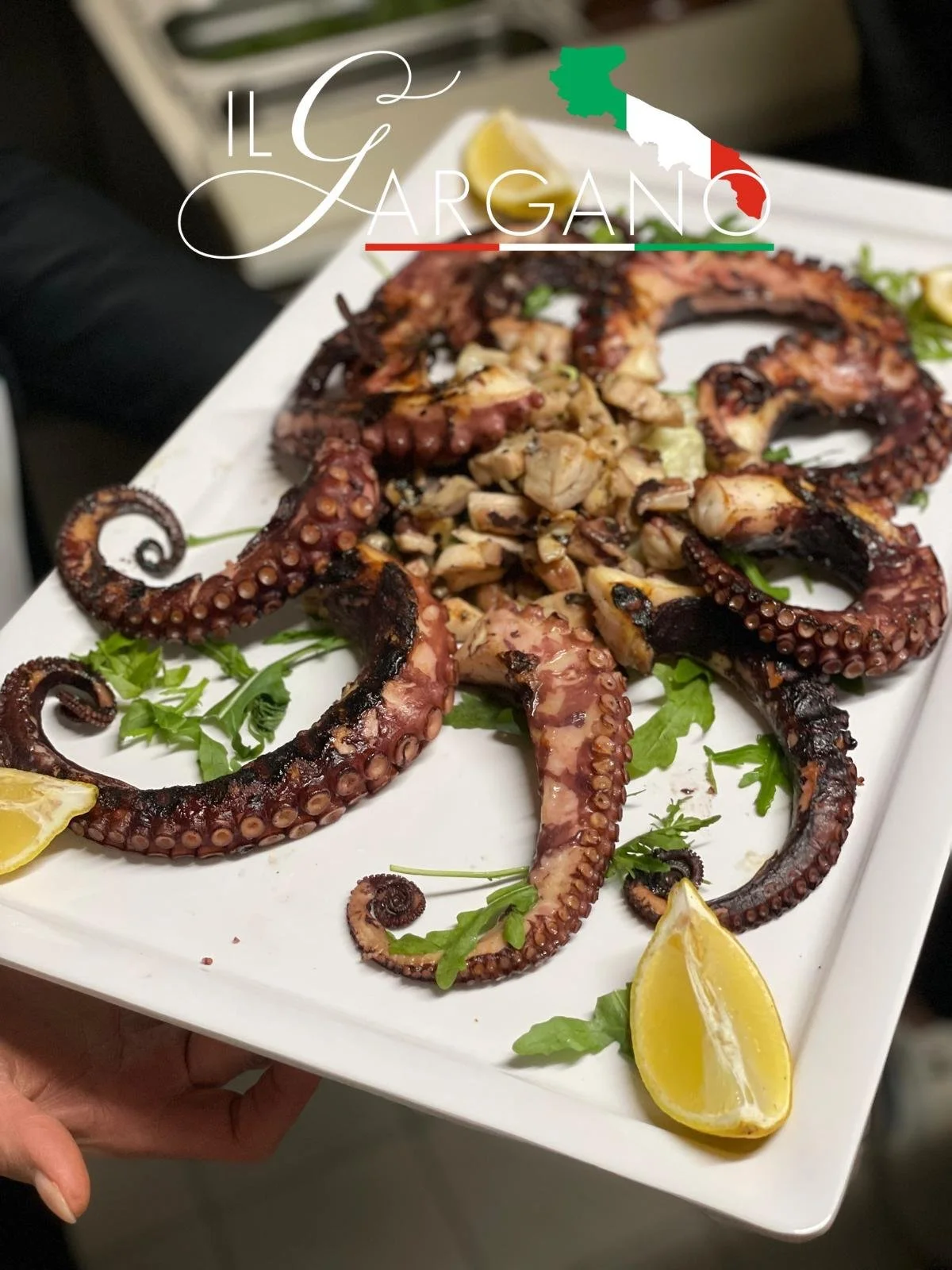 WhatsApp Image 2026-03-09 at 14.49.05.jpeg