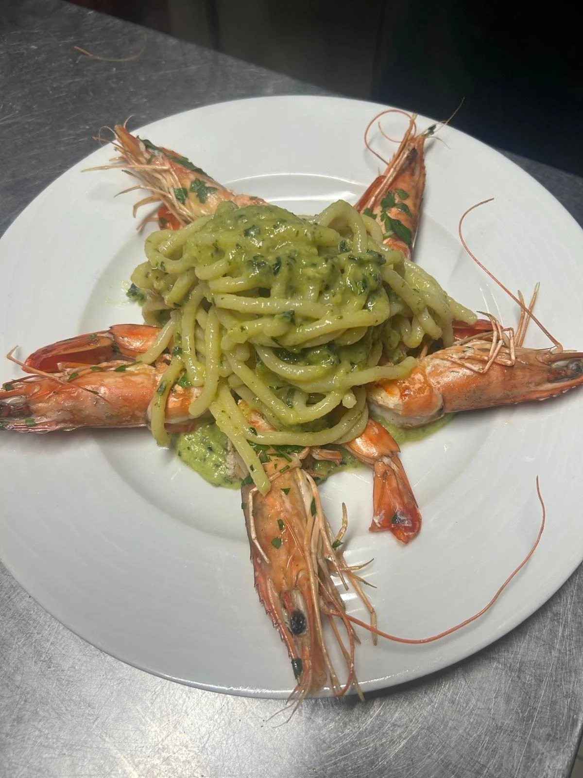 WhatsApp Image 2026-03-11 at 10.56.16.jpeg