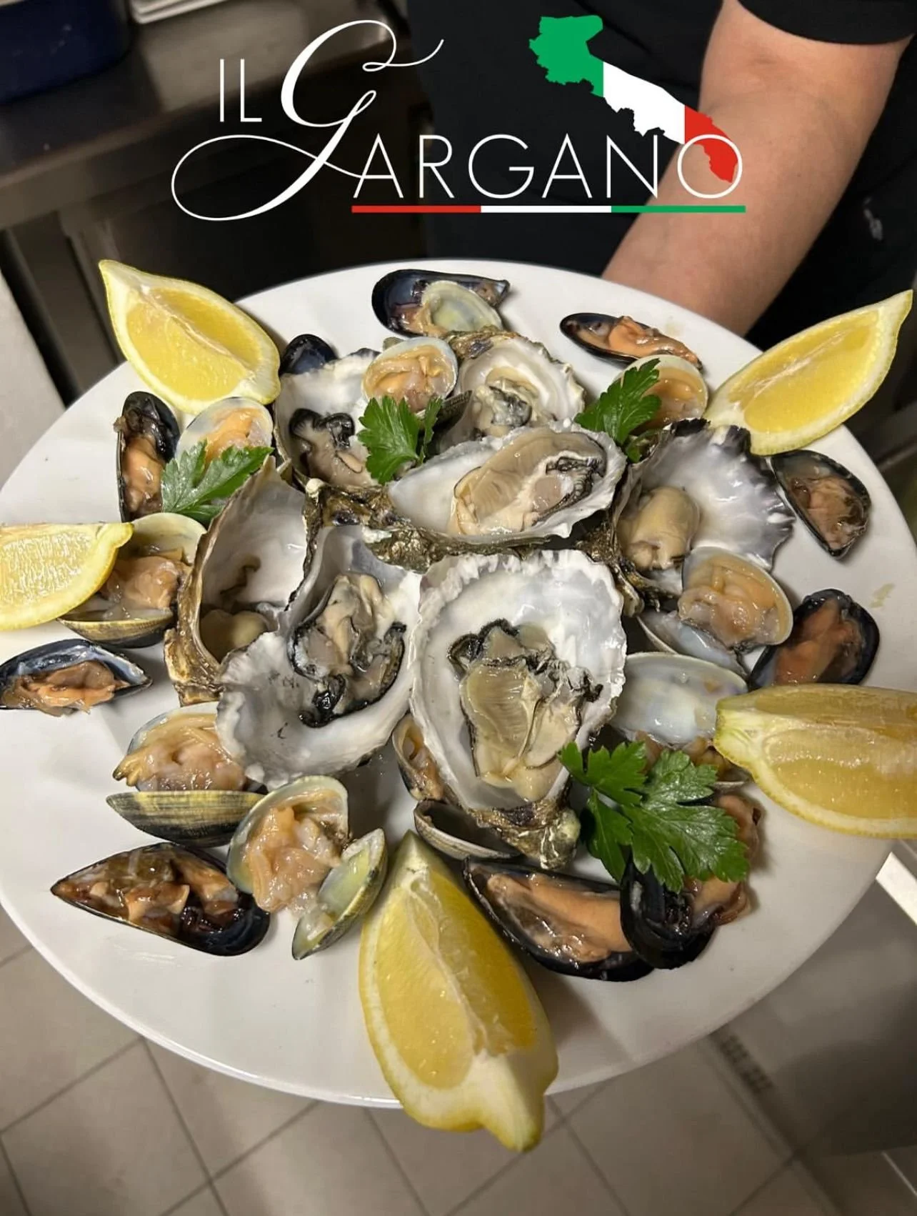 WhatsApp Image 2026-03-11 at 09.50.25 (1).jpeg