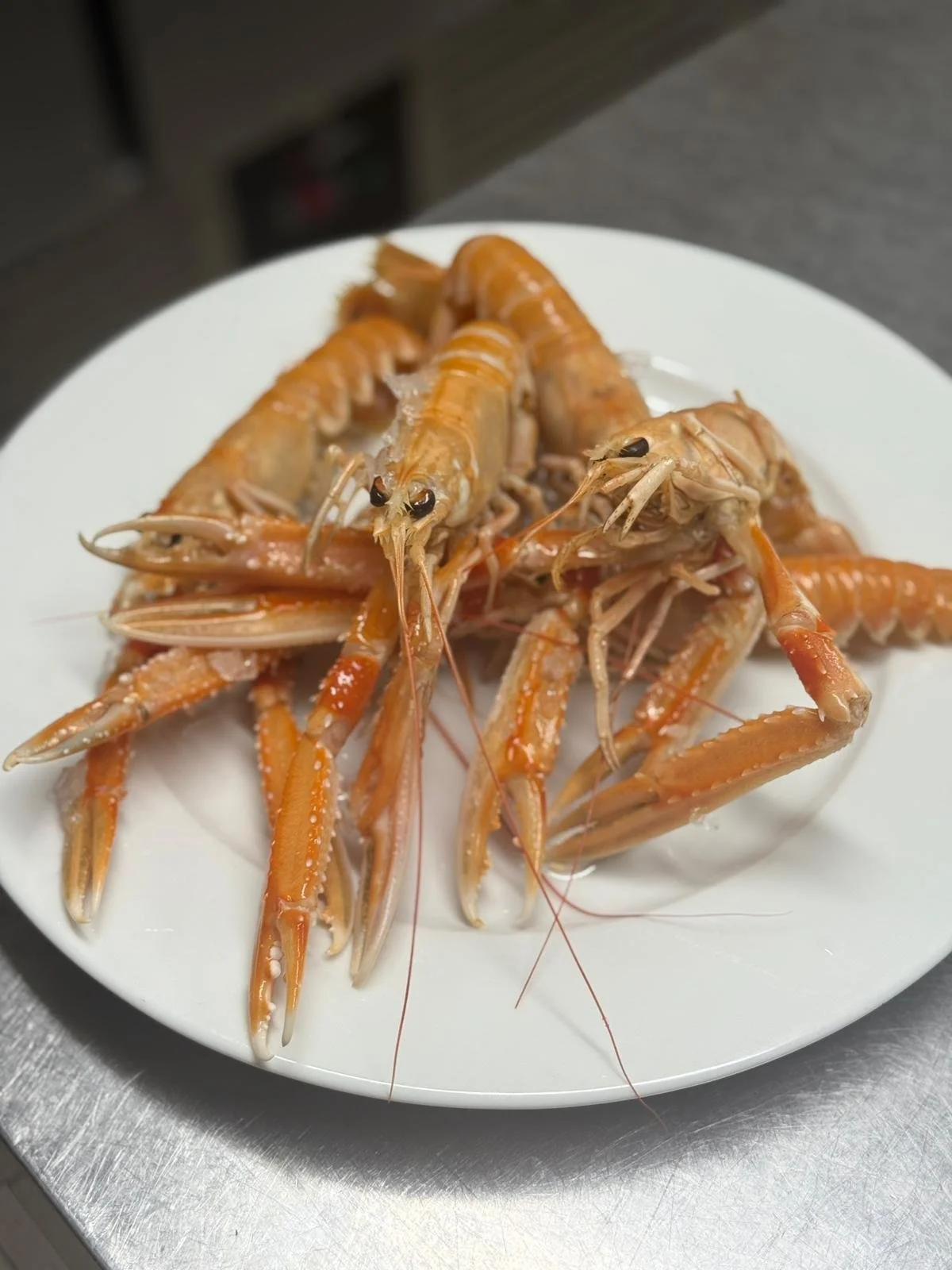 WhatsApp Image 2026-03-09 at 14.49.06 (4).jpeg