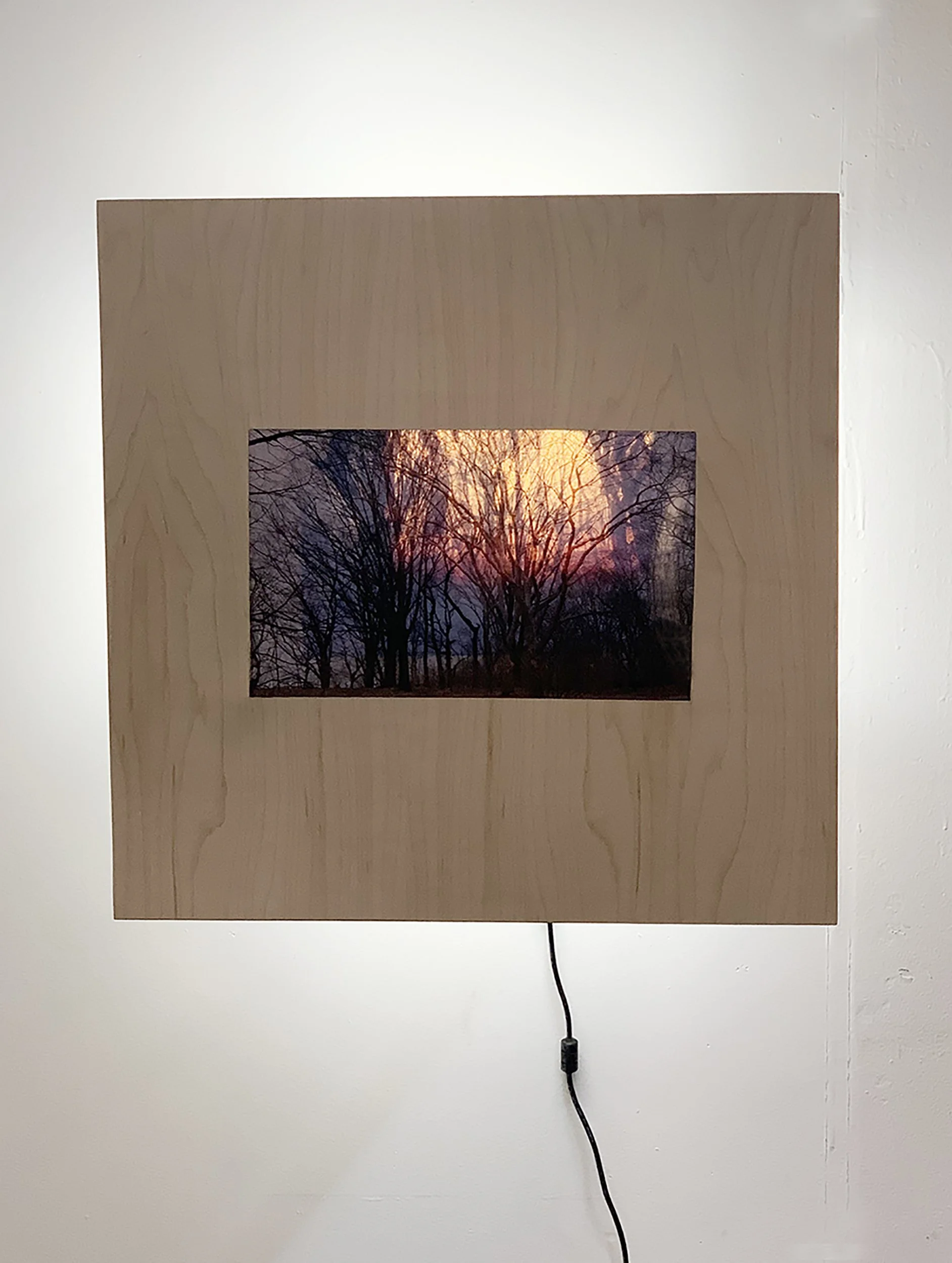 10.5_Through Trees detail_CaitlinMiller_PW.jpg