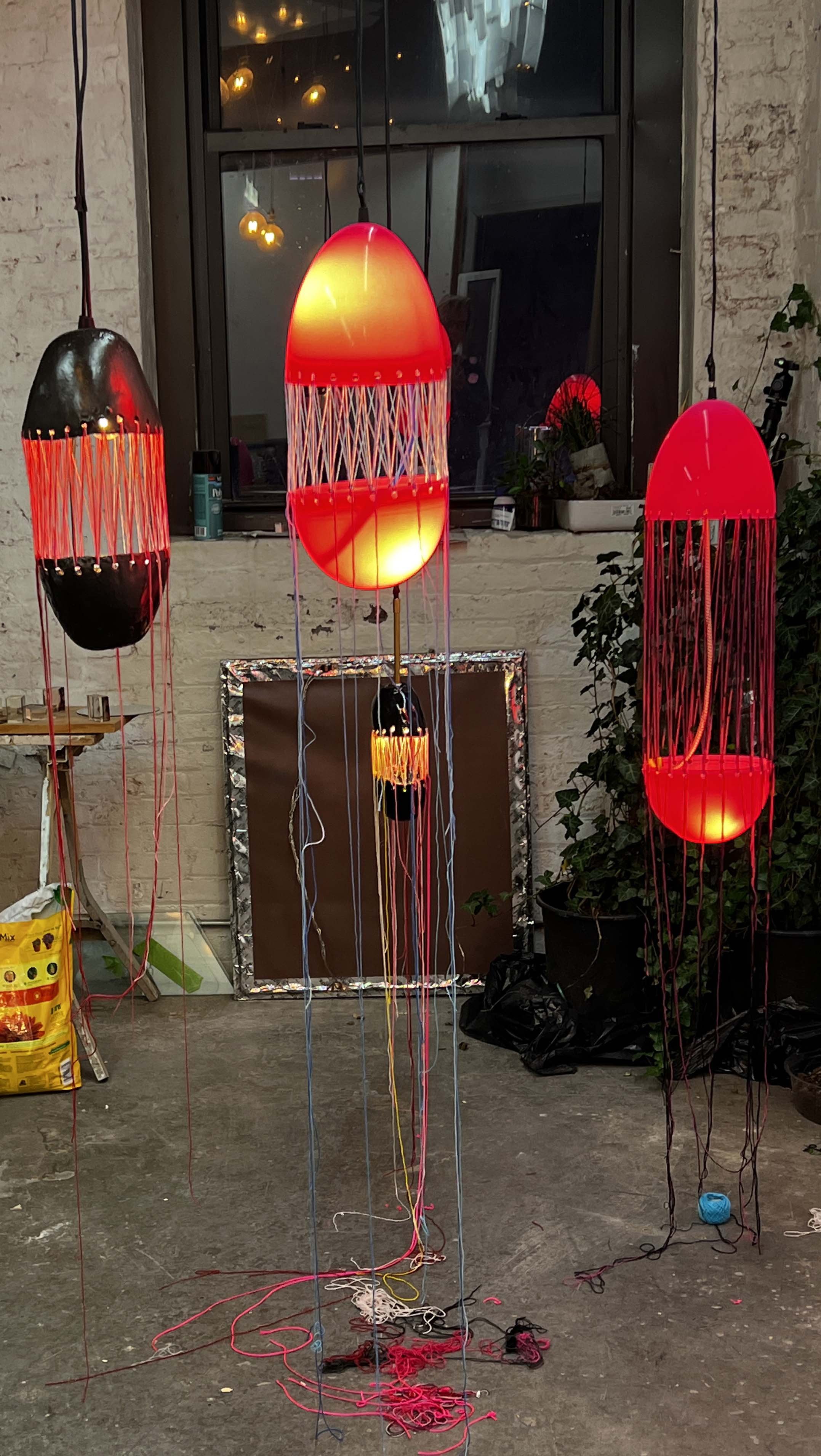 JellyfishLights 2.jpg