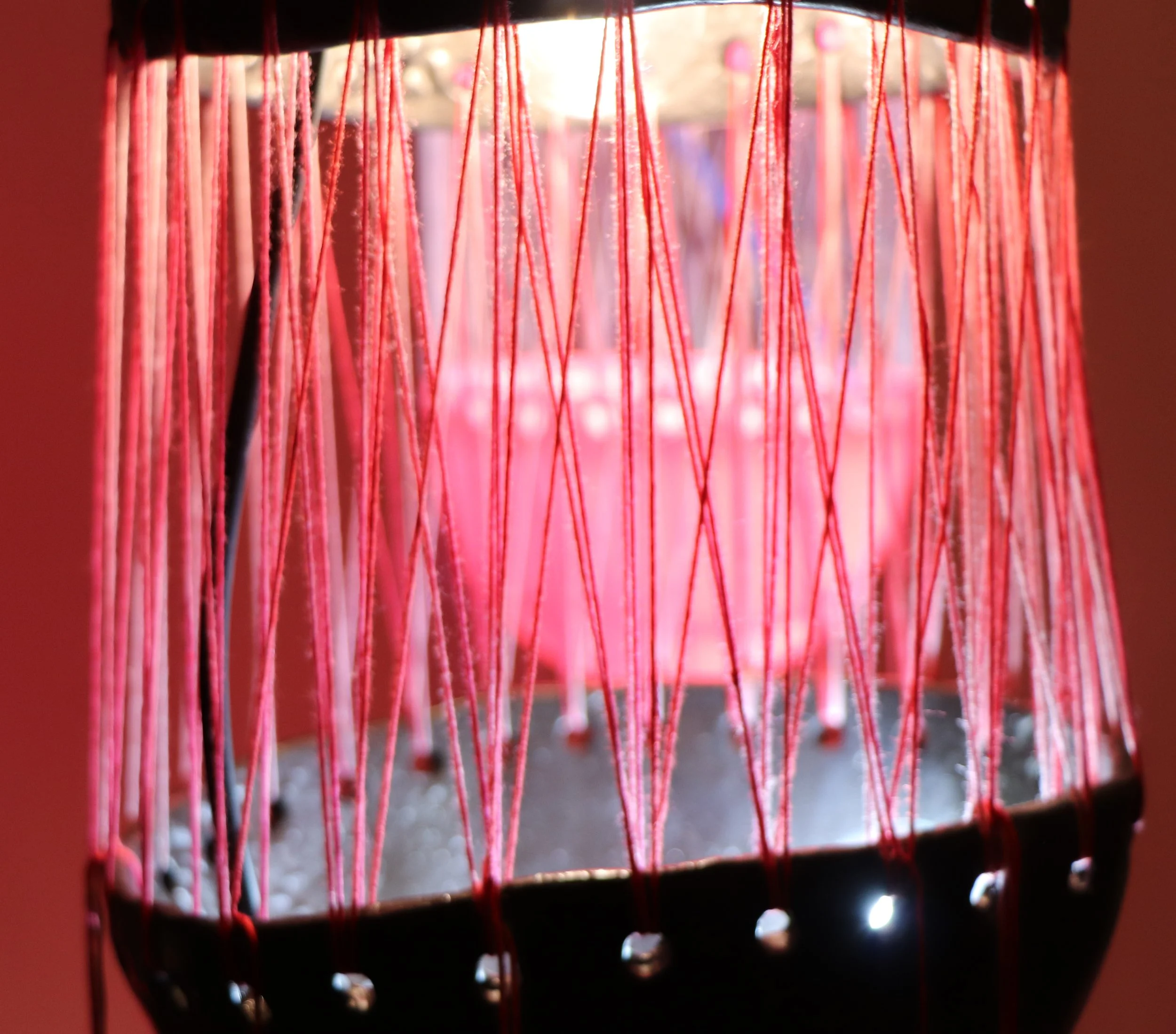 jellyfish2.jpg