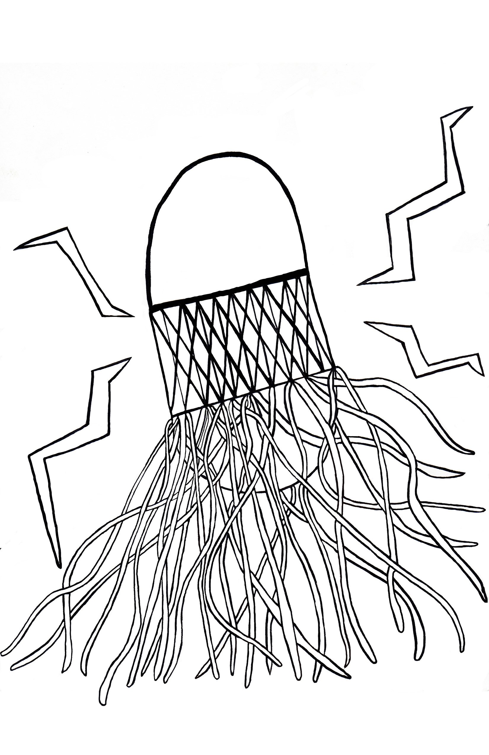 CaitlinMiller_BloomingMedusa.jpg