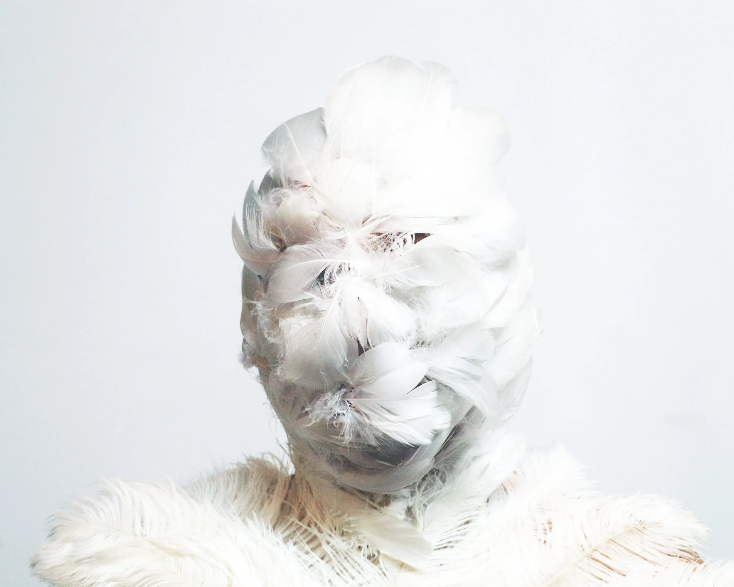 2019-09-26 04.37.31_rev_all white.jpg
