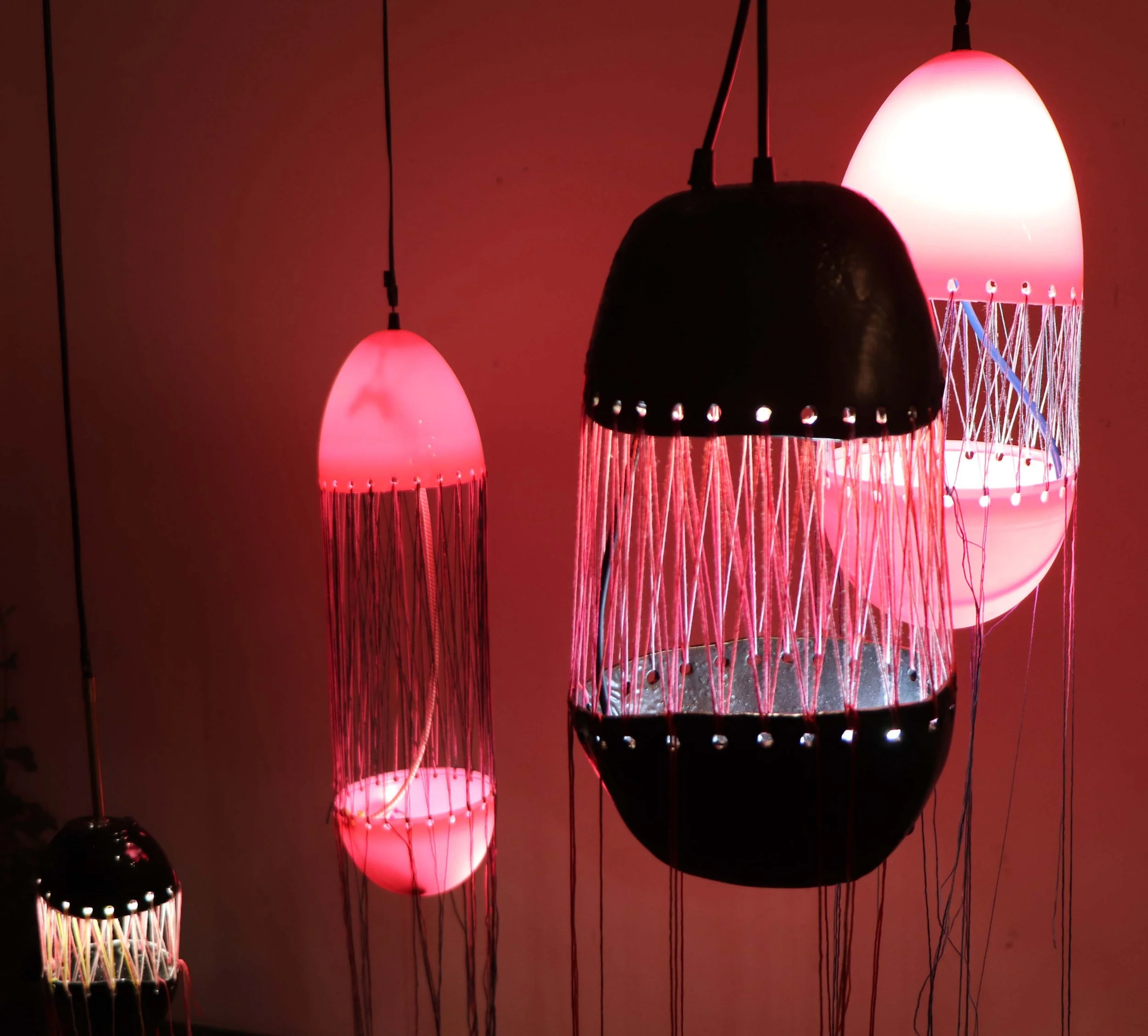 JellyfishLights 1.jpg
