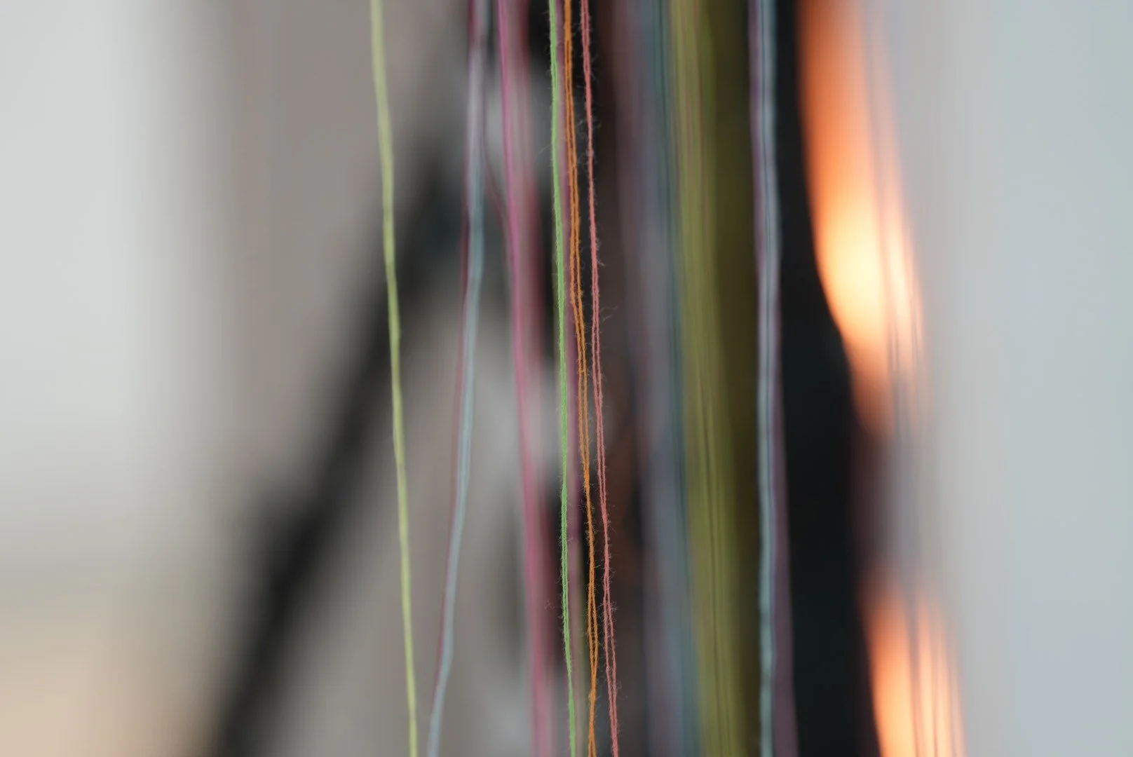 DSC00870 2.JPG