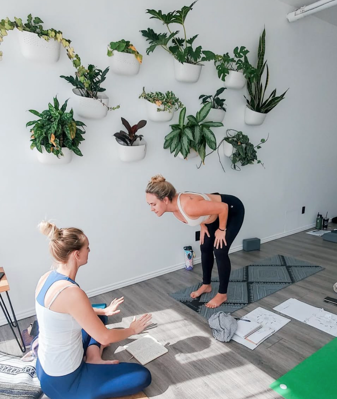 Two women practicing yoga indoors, one is sitting cross-legged with a book, and the other is standing in a forward bend, engaging in a yoga pose, on yoga mats in a room with wall-mounted plant displays.